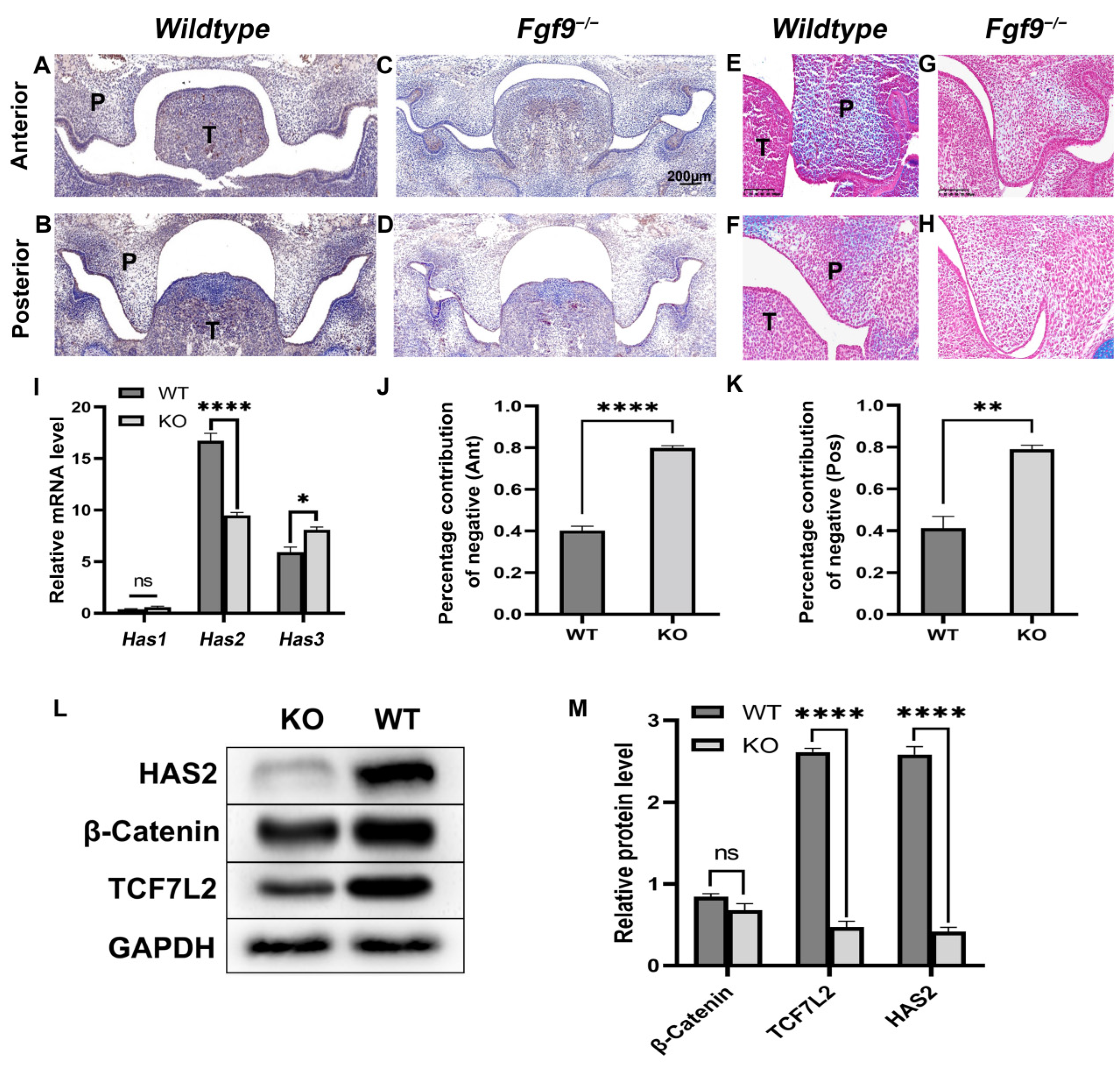 Biomolecules 12 01639 g002 Biomolecules 12 01639 g002