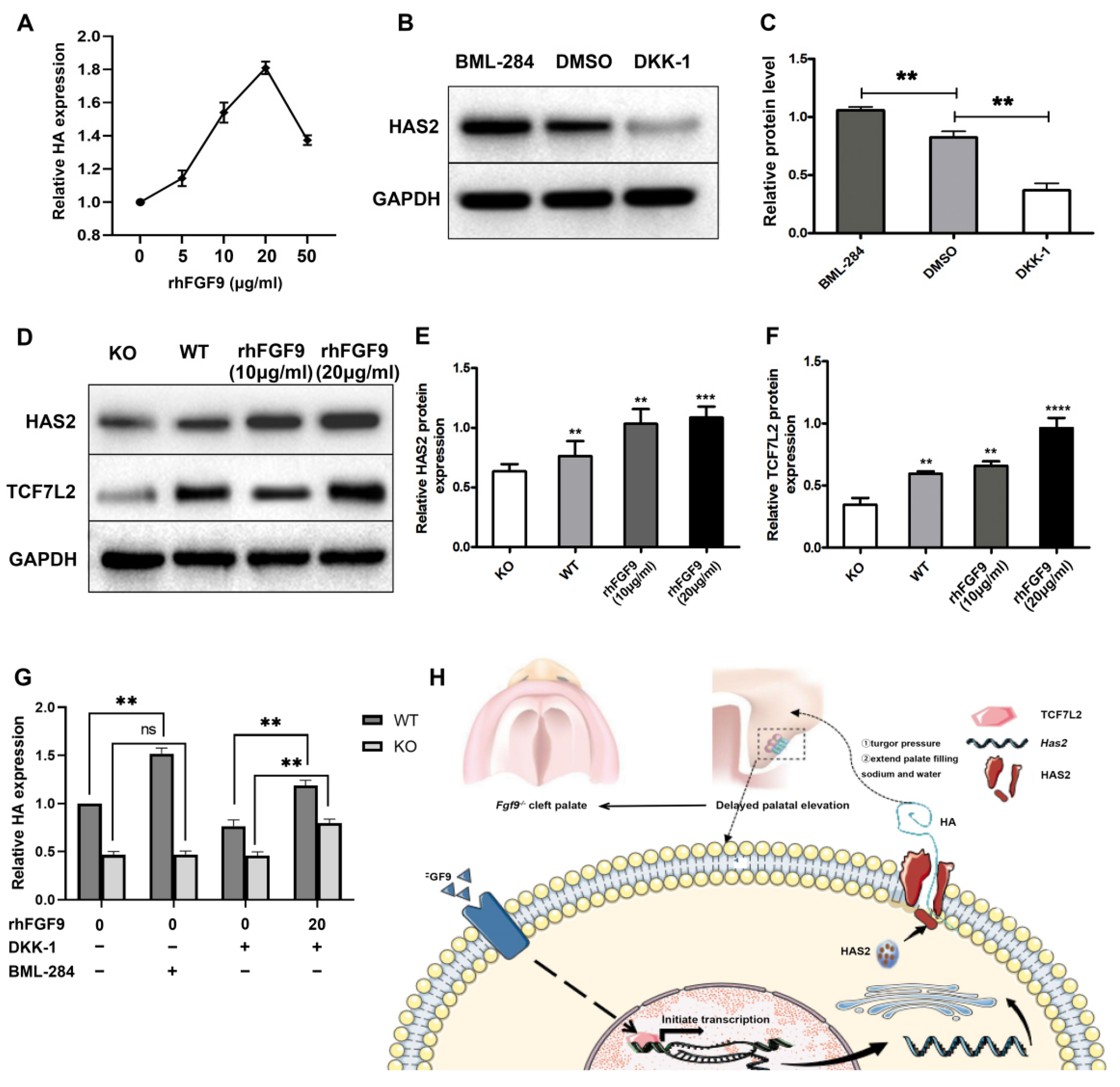 Biomolecules 12 01639 g004 Biomolecules 12 01639 g004