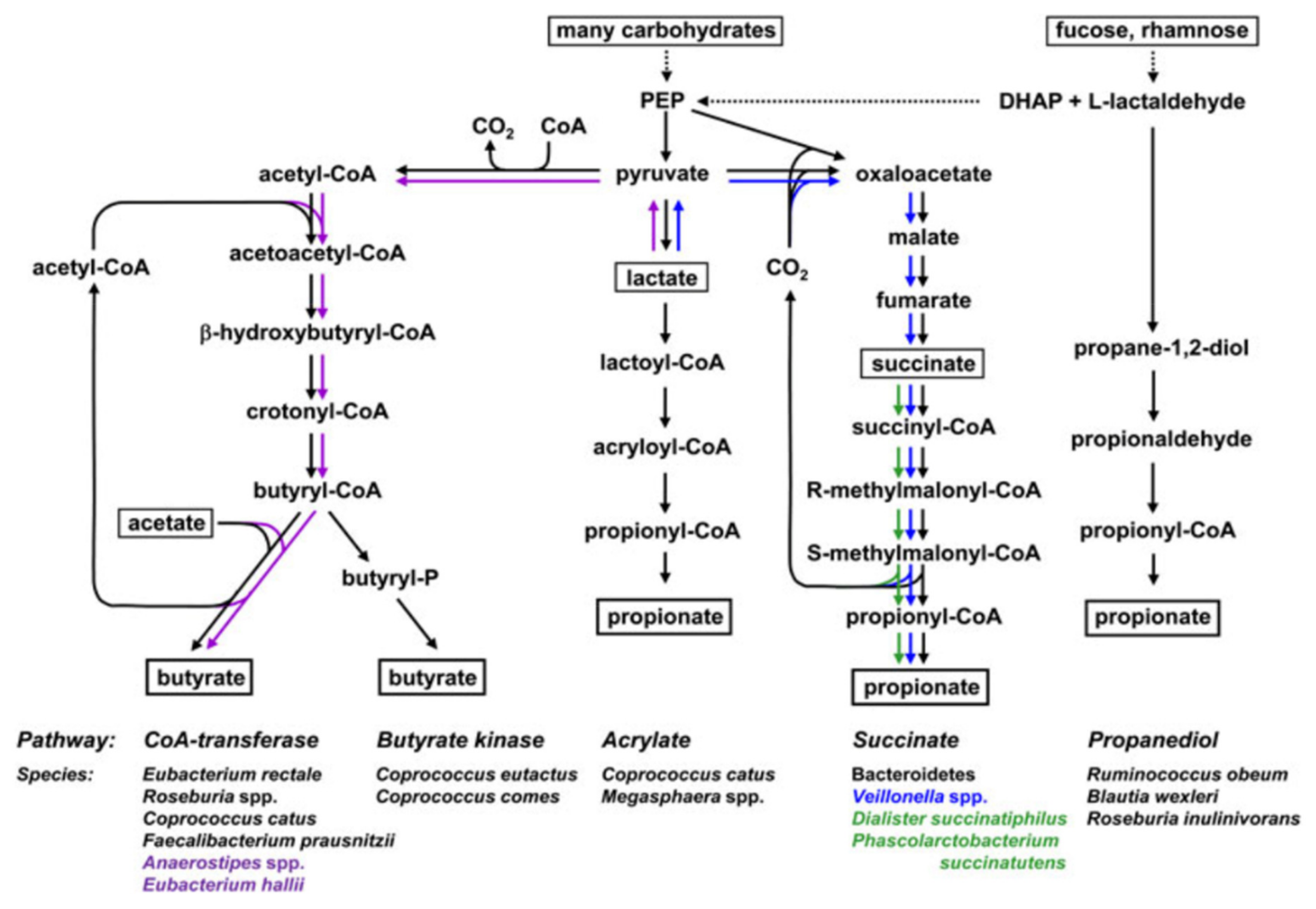 Biomolecules 12 01640 g001