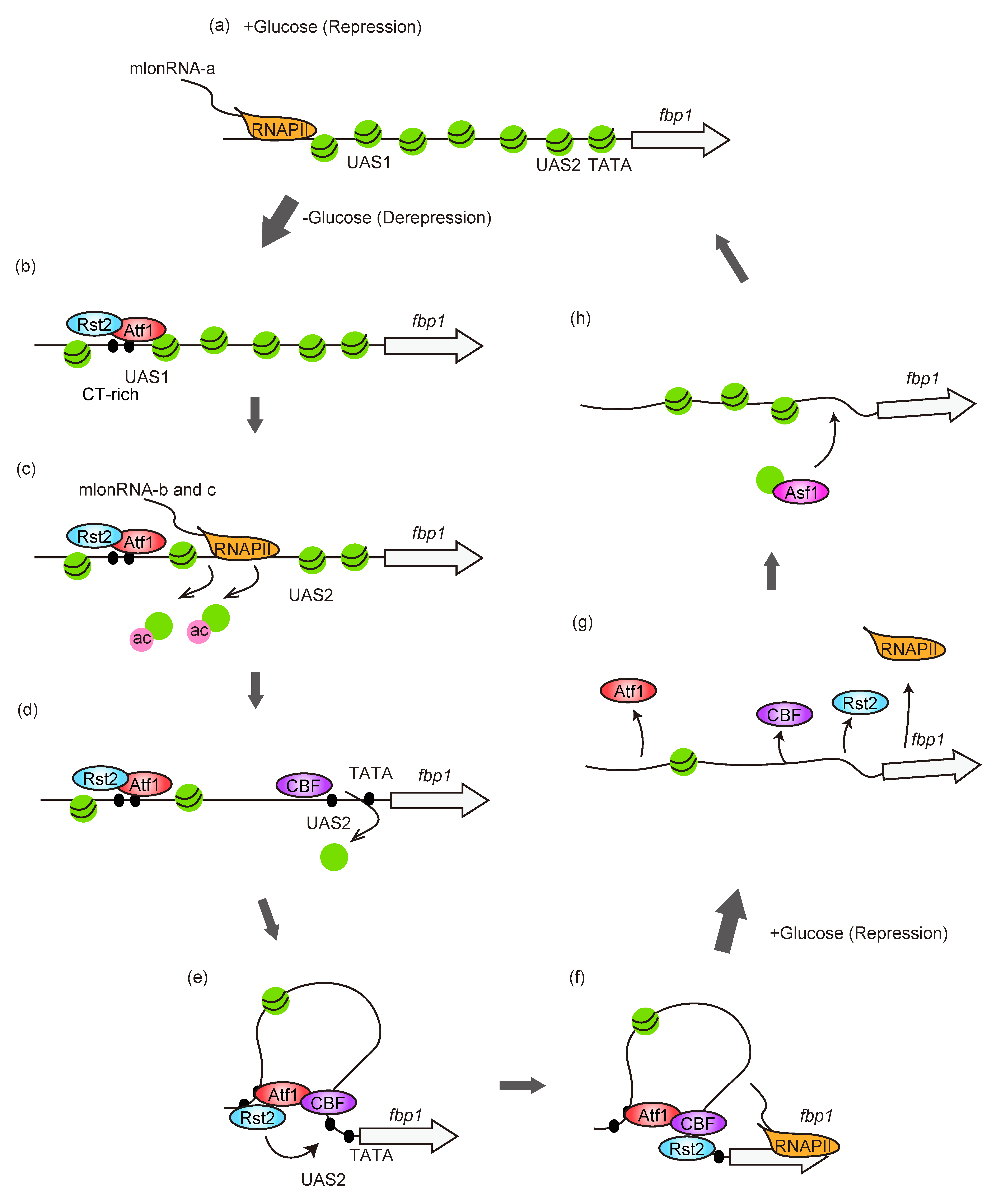 Biomolecules 12 01642 g002