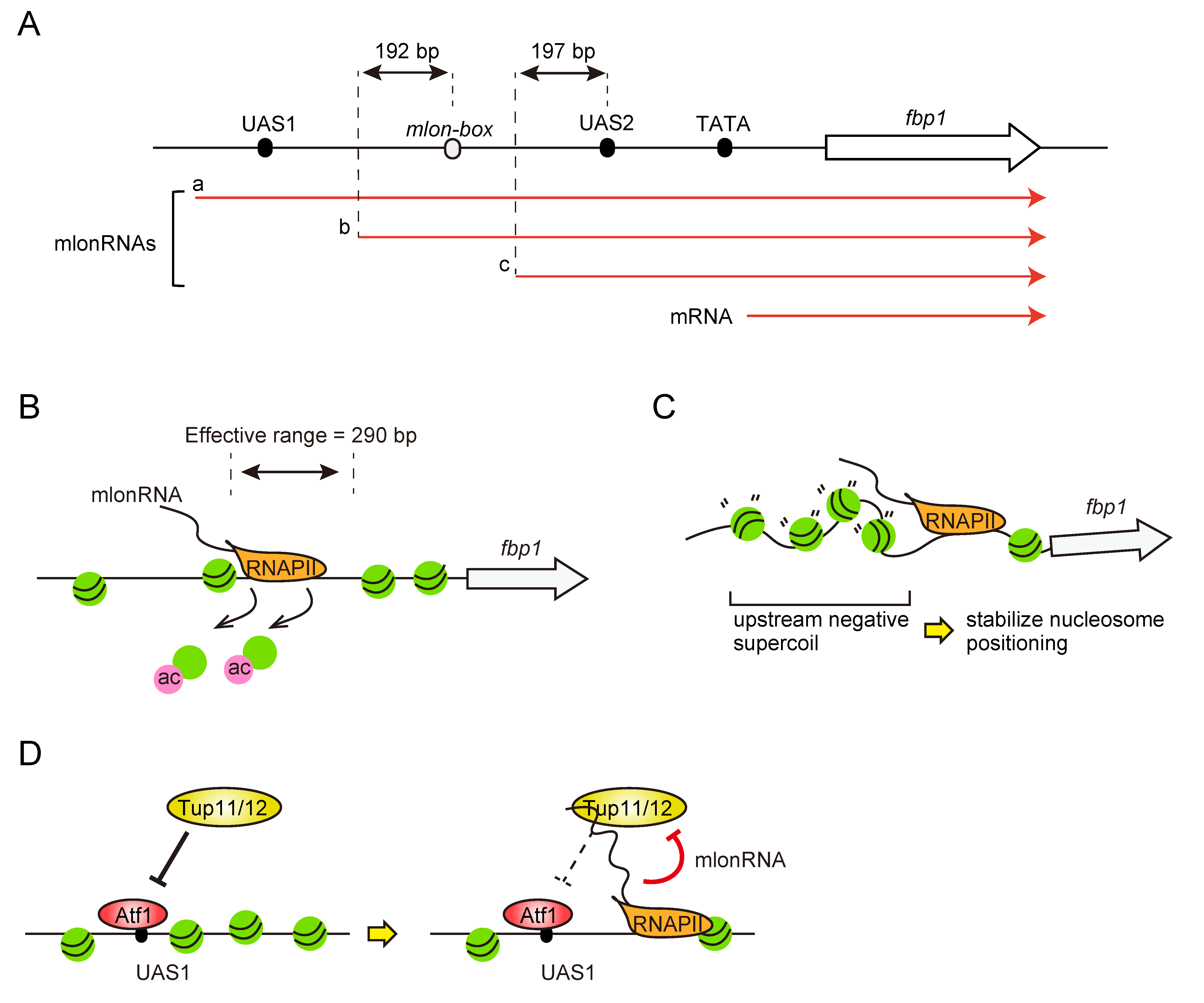 Biomolecules 12 01642 g003