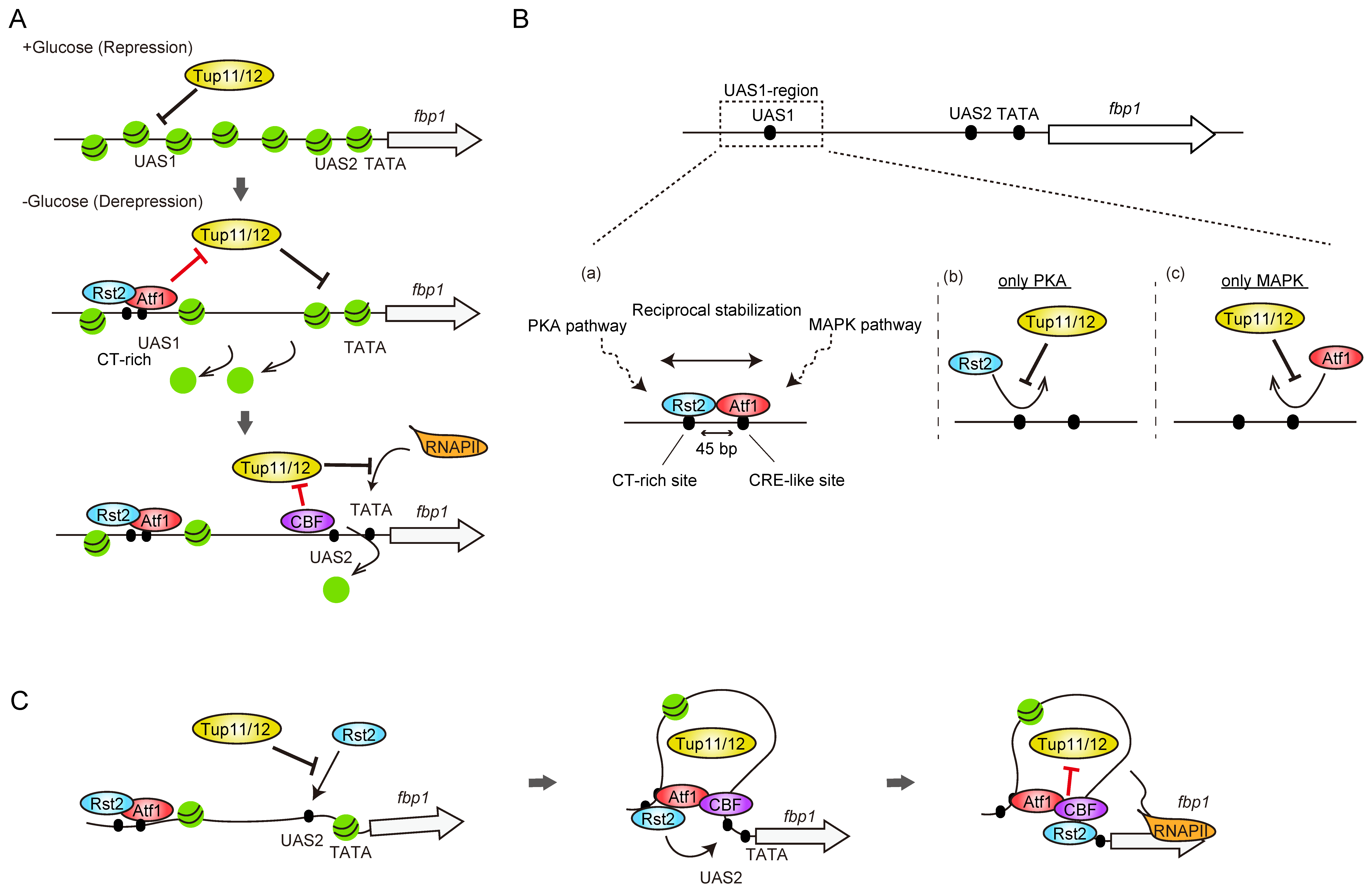 Biomolecules 12 01642 g005