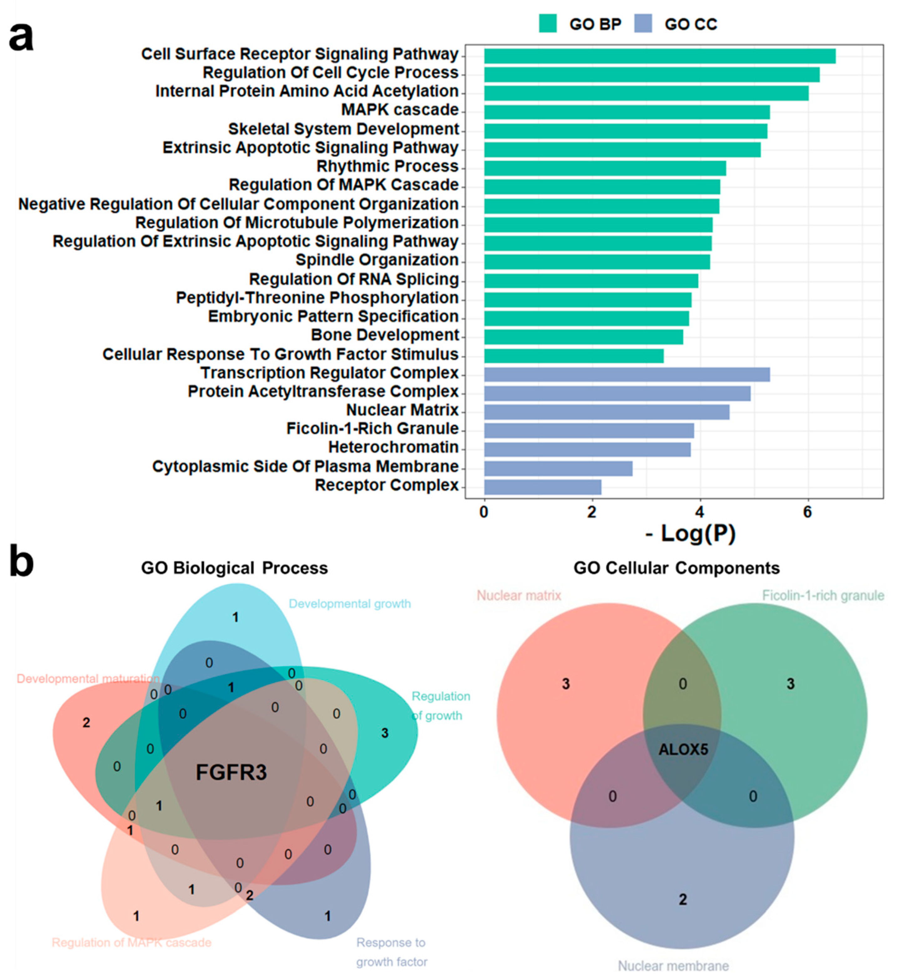 Biomolecules 12 01643 g004