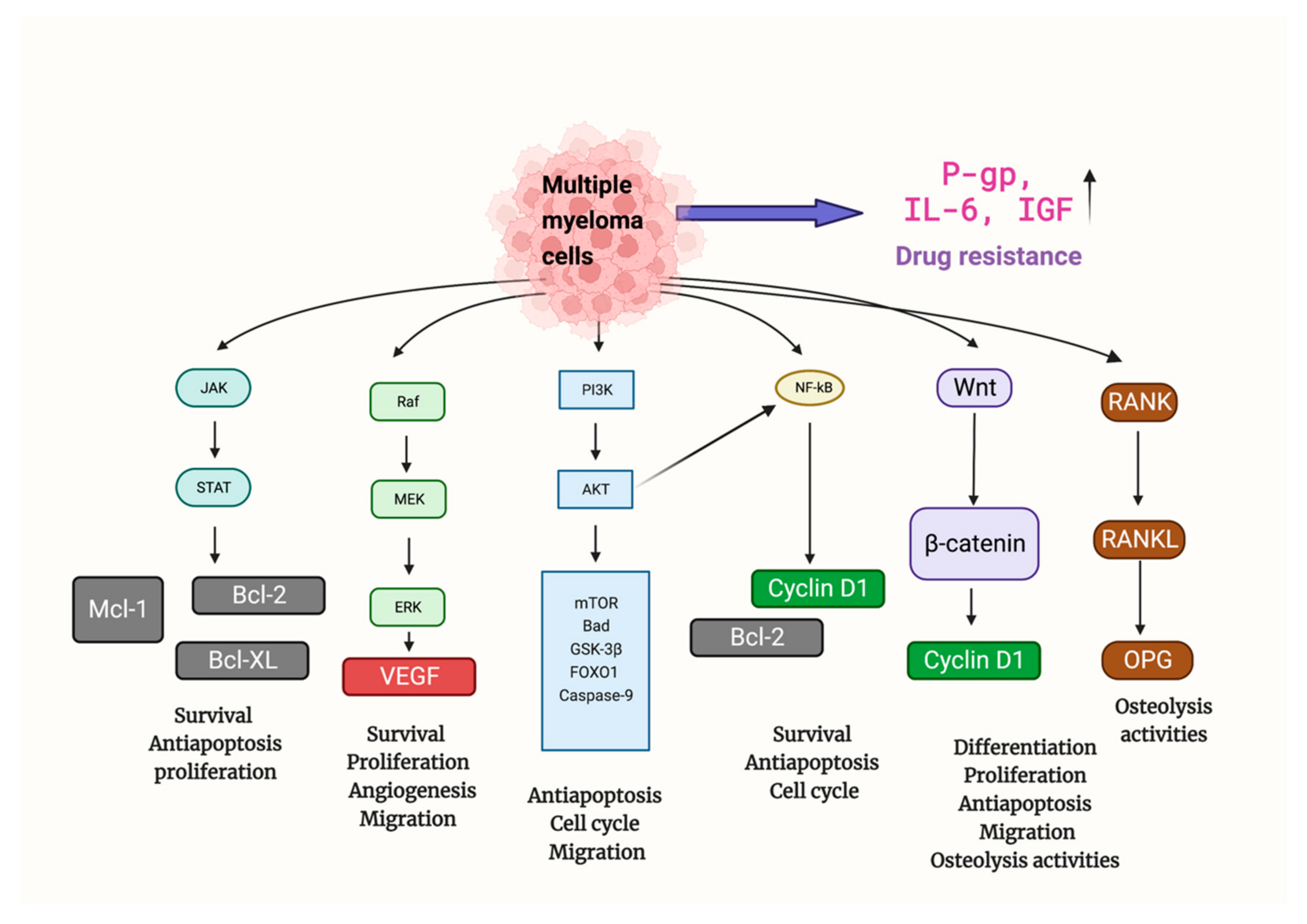 Biomolecules 12 01647 g002