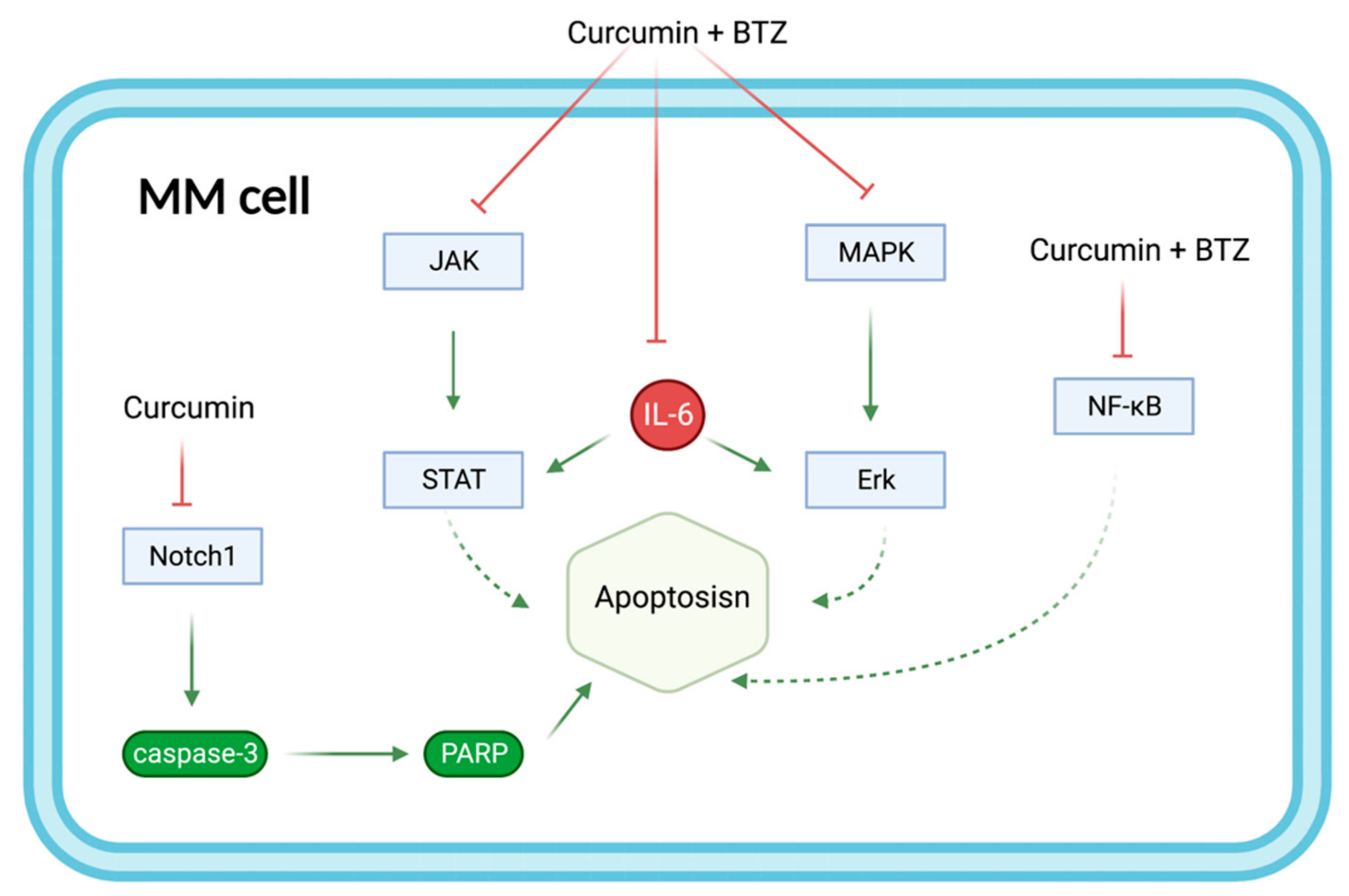 Biomolecules 12 01647 g007