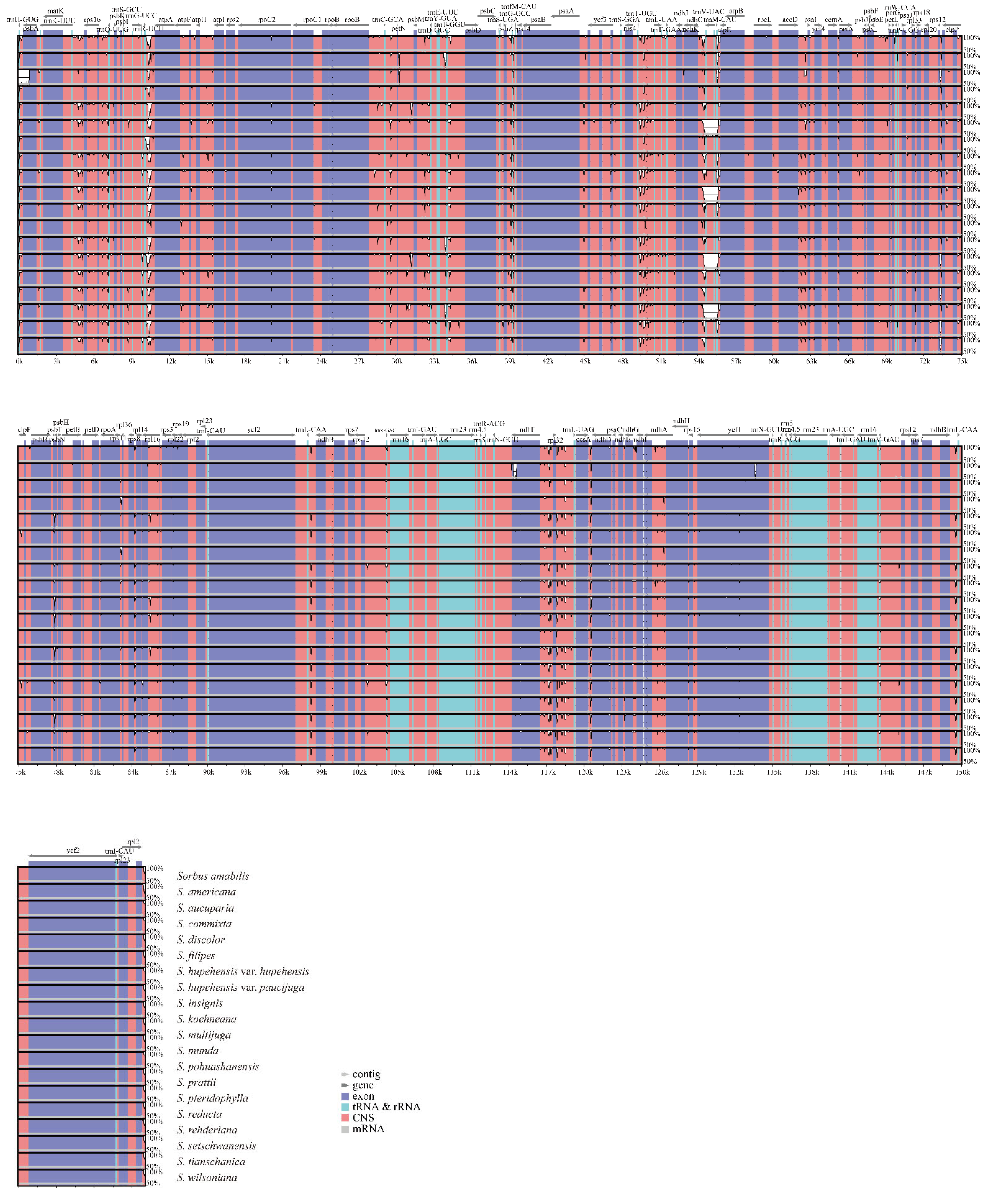 Biomolecules 12 01648 g004 Biomolecules 12 01648 g004