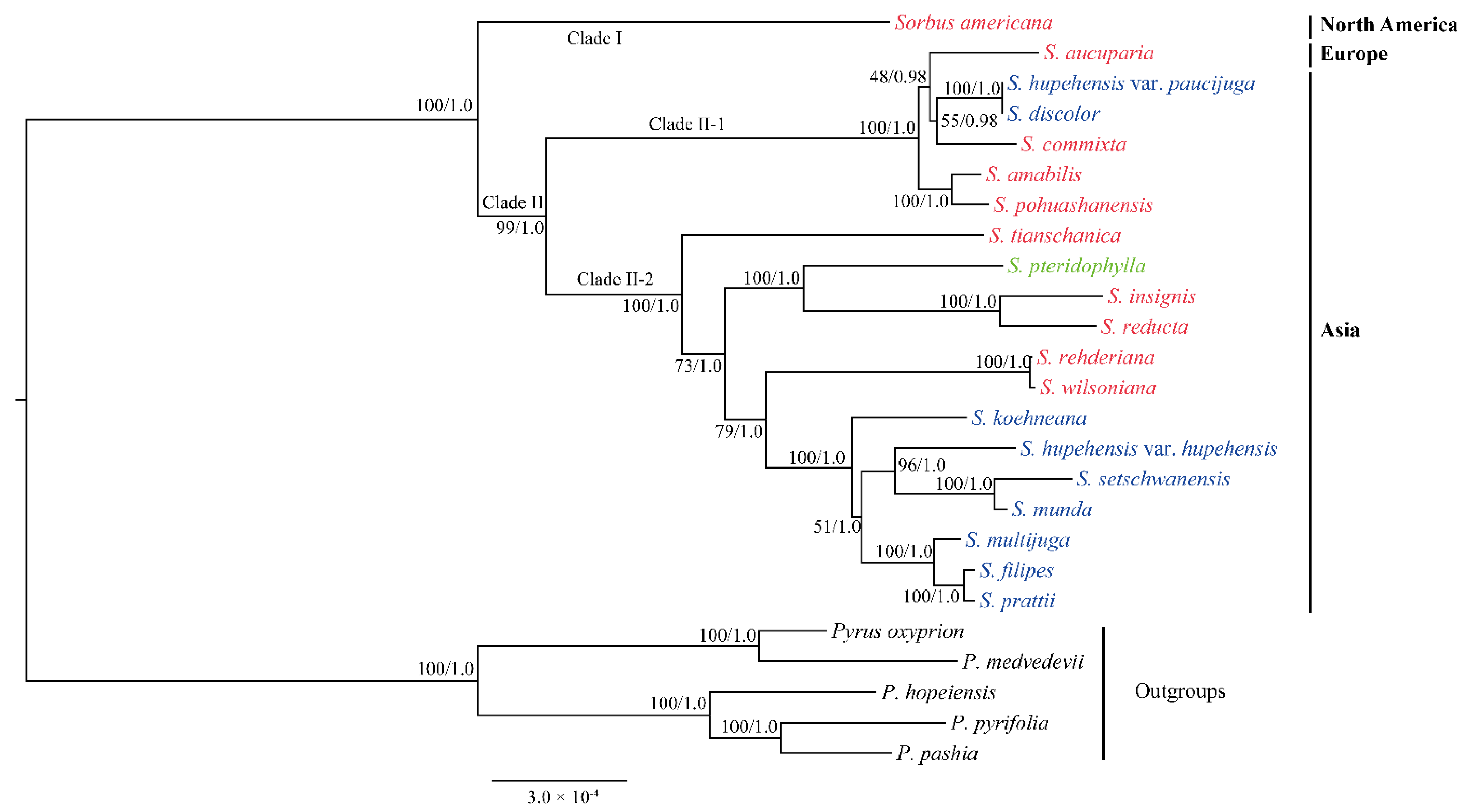 Biomolecules 12 01648 g006 Biomolecules 12 01648 g006