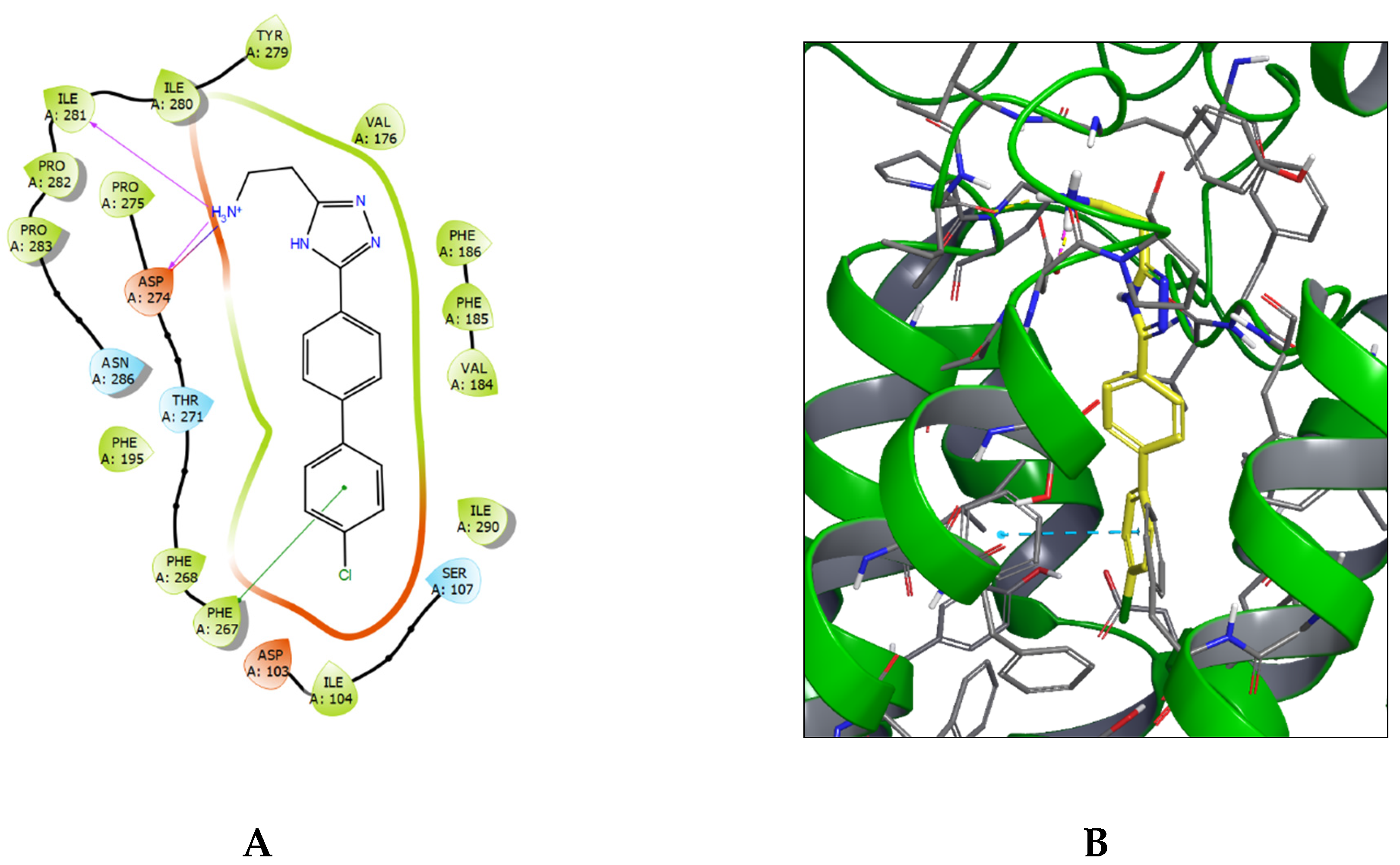 Biomolecules 12 01650 g003 Biomolecules 12 01650 g003
