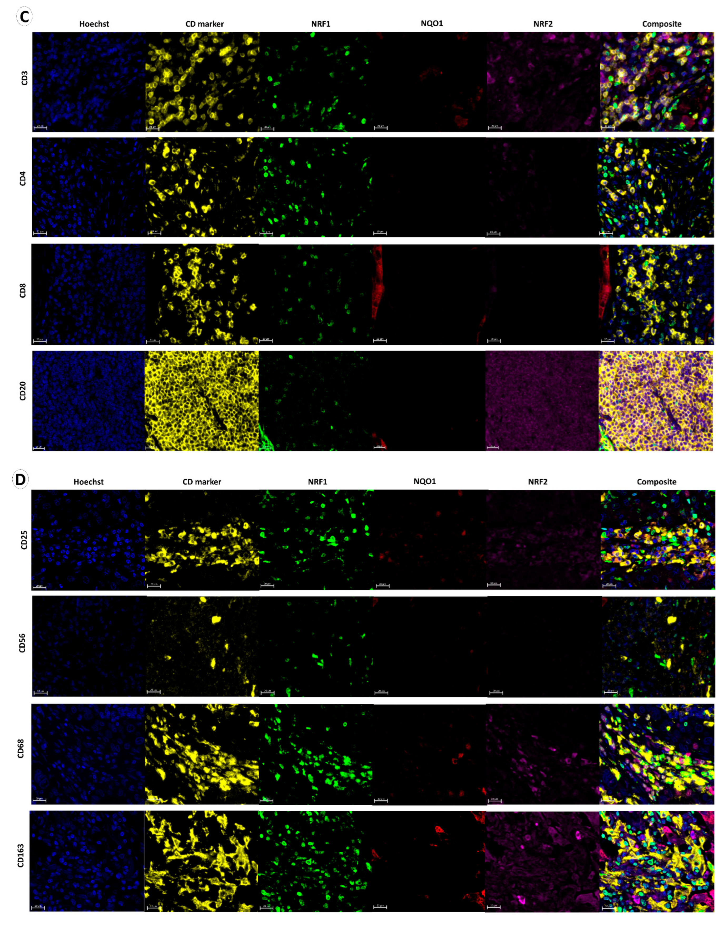 Biomolecules 12 01652 g001b