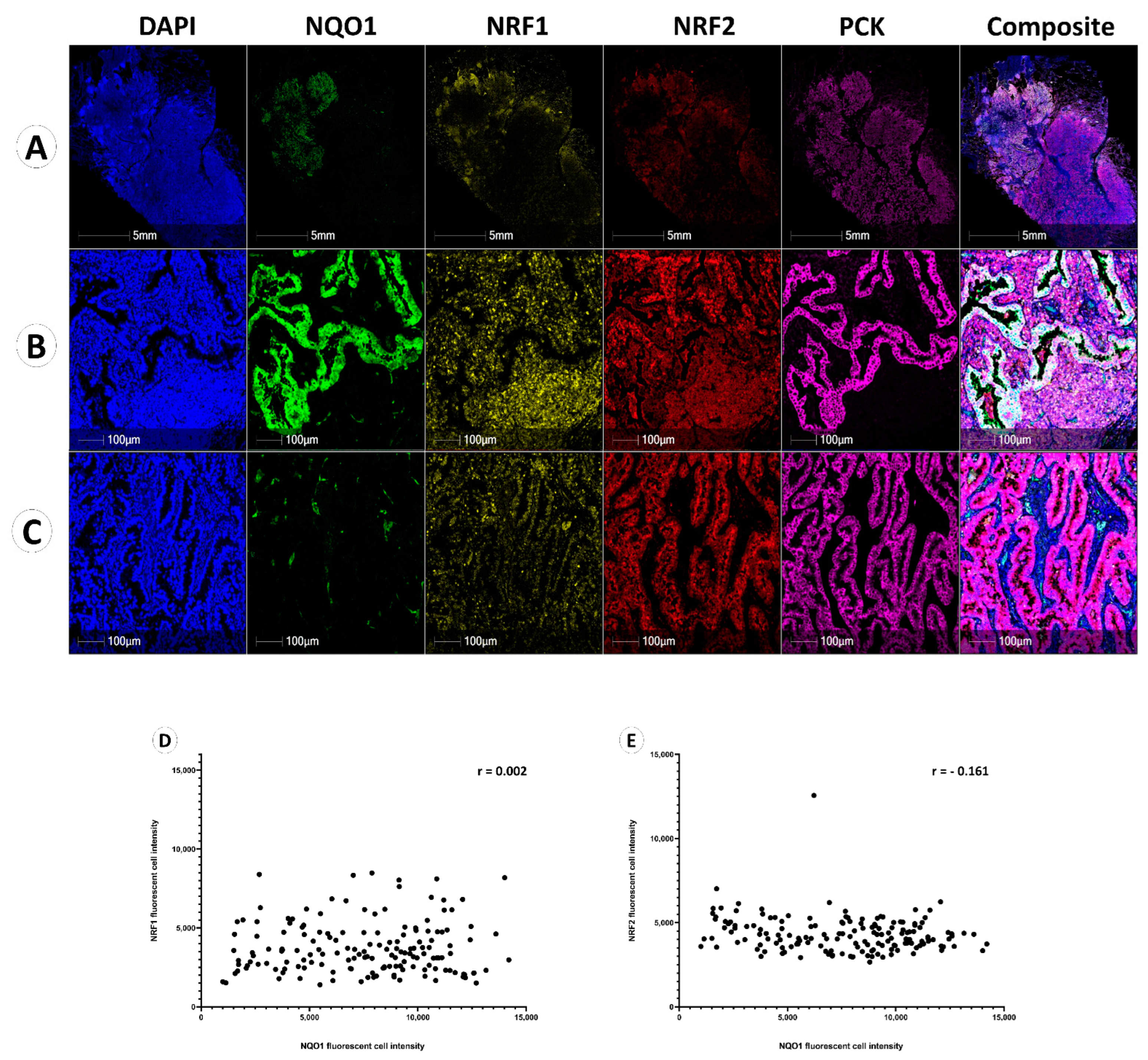 Biomolecules 12 01652 g003