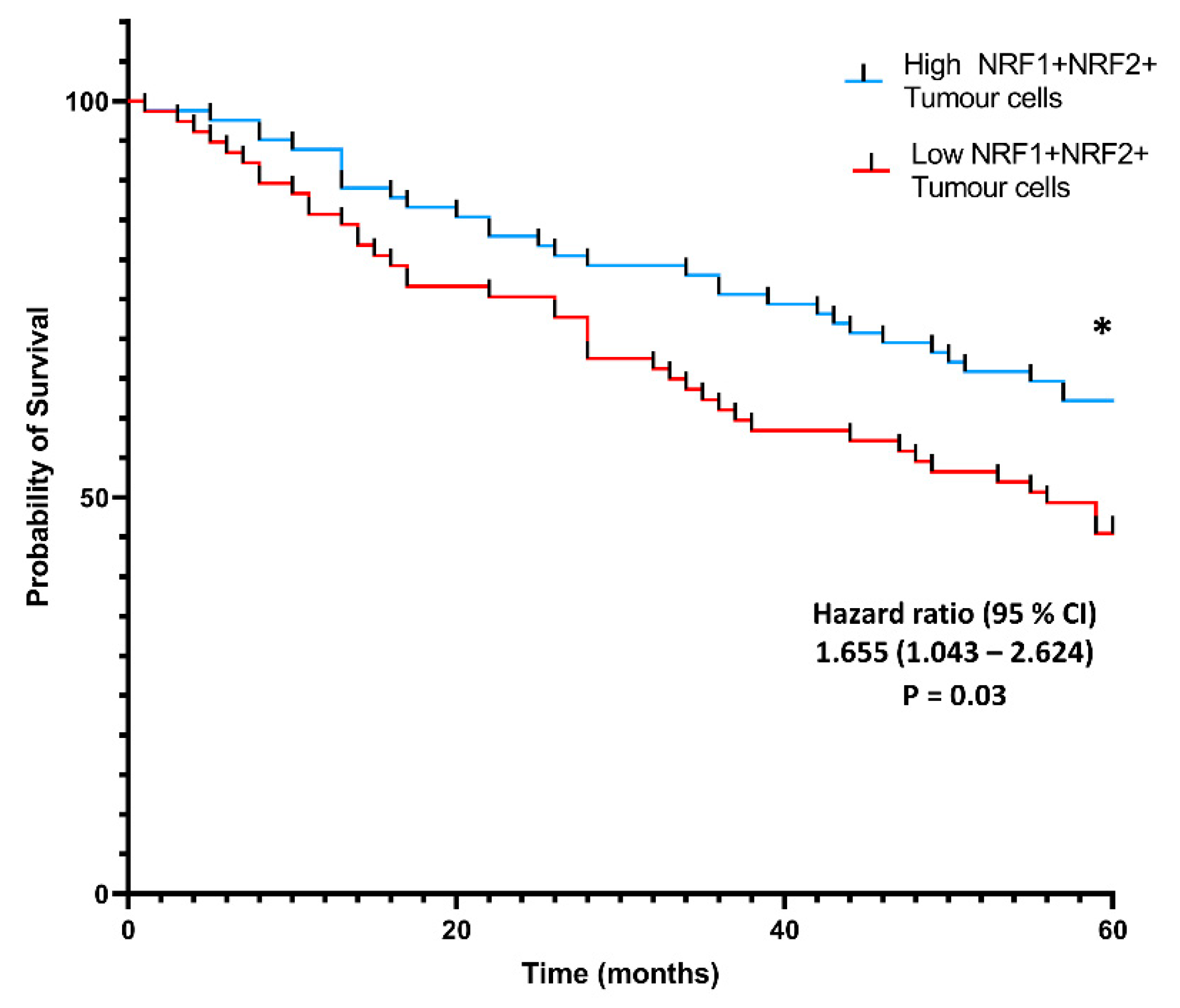 Biomolecules 12 01652 g004