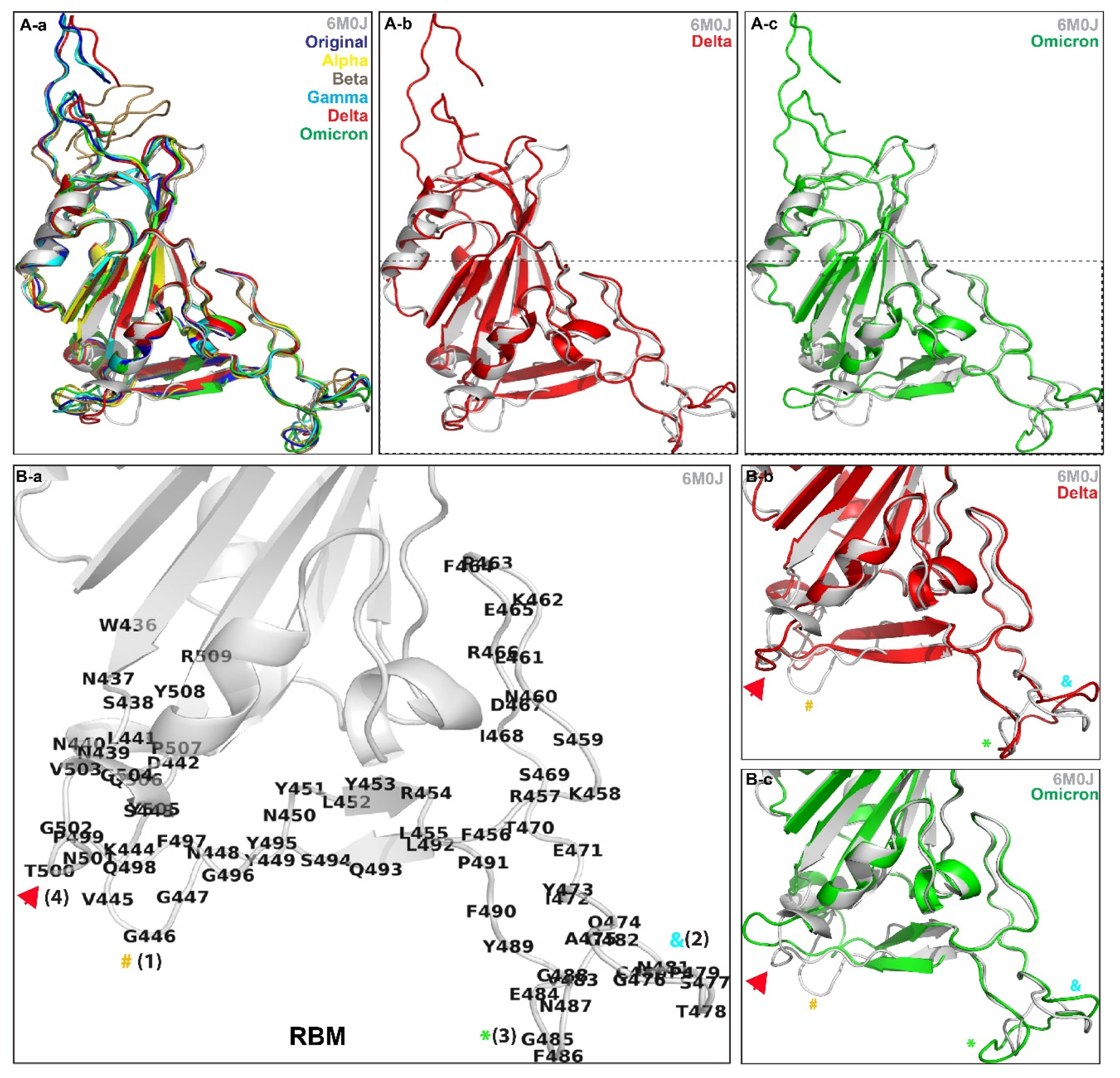 Biomolecules 12 01665 g001