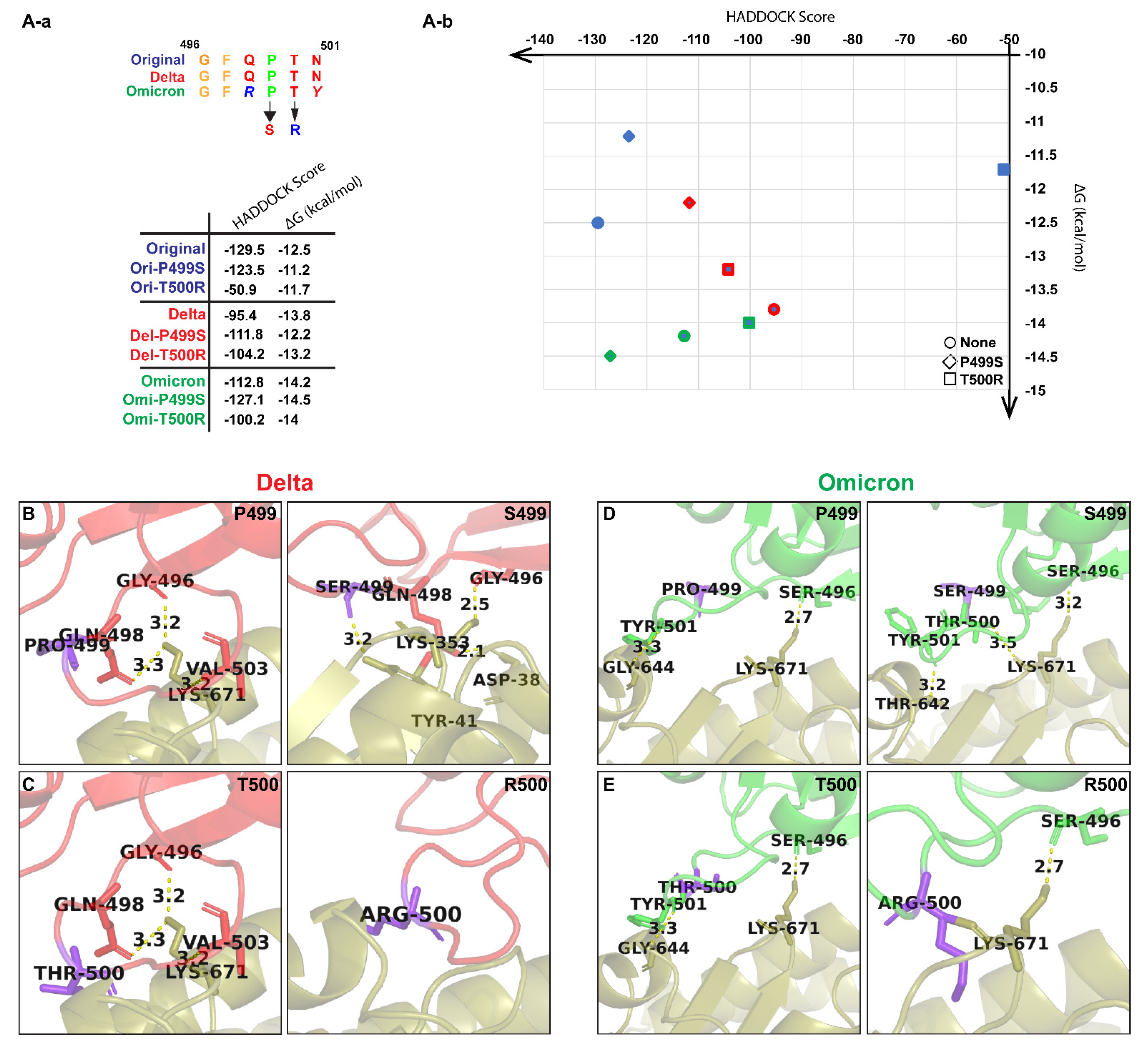 Biomolecules 12 01665 g003
