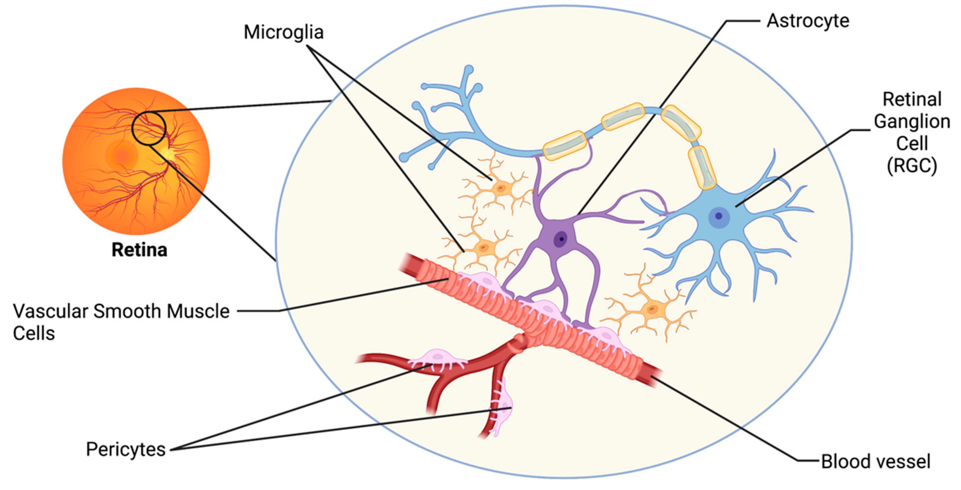 Biomolecules 12 01671 g001