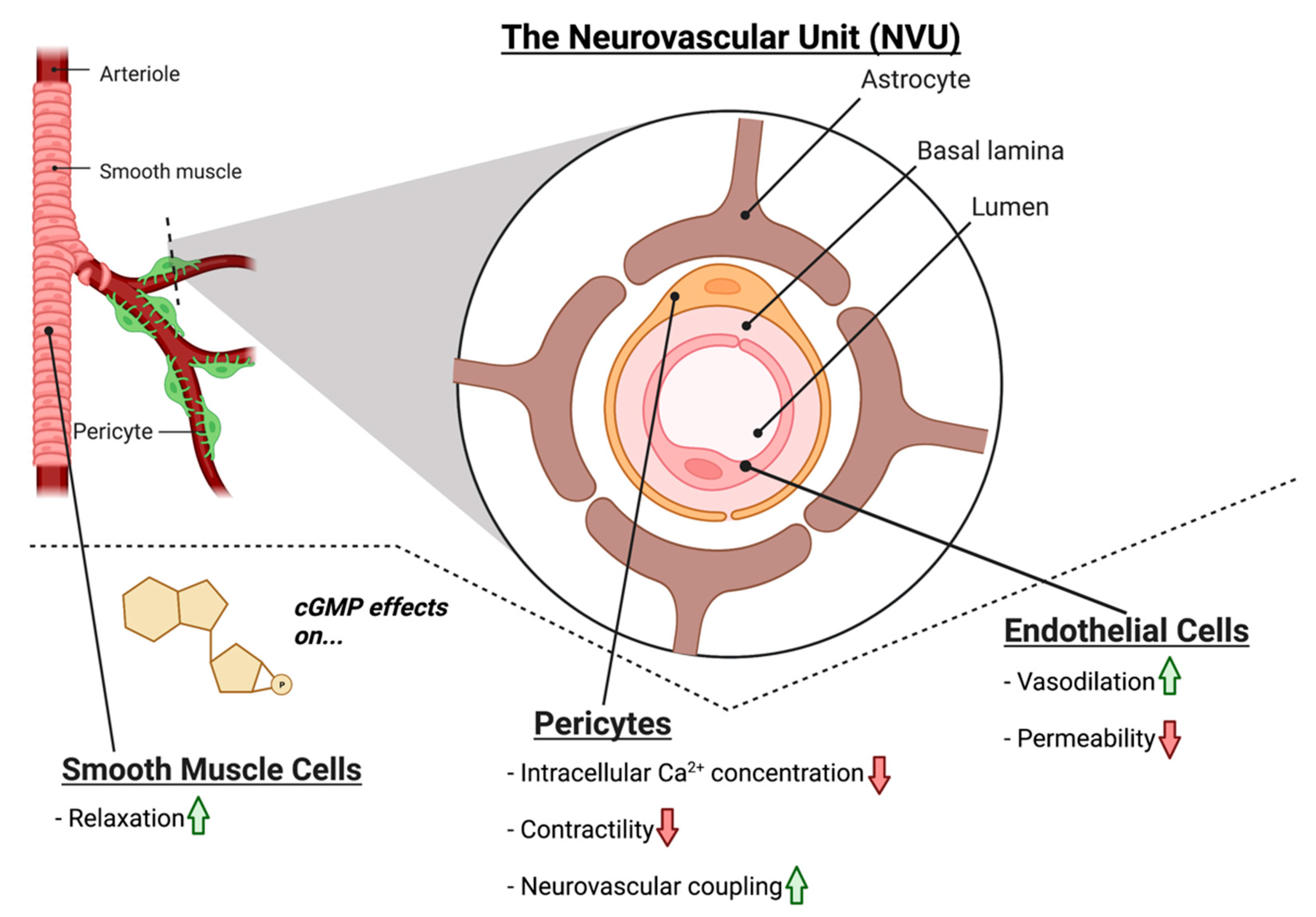 Biomolecules 12 01671 g002