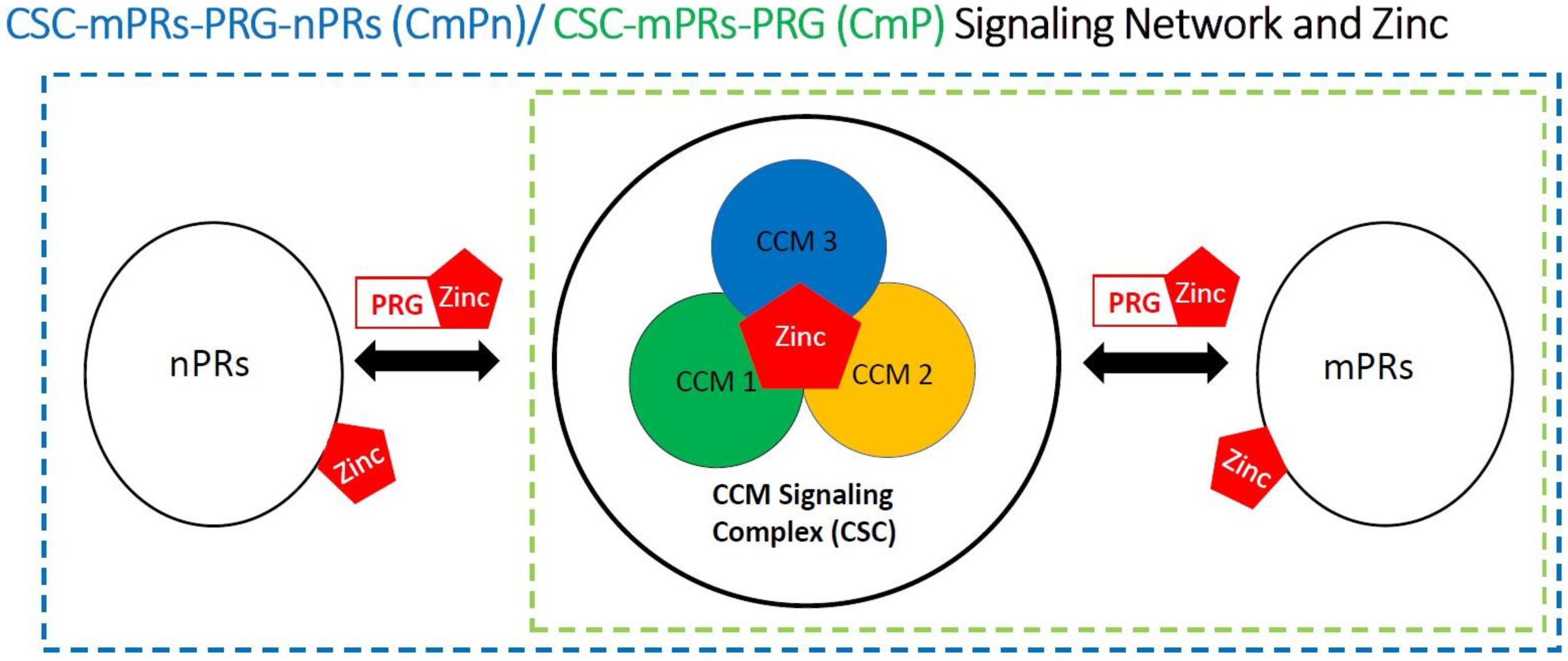 Biomolecules 12 01672 g001