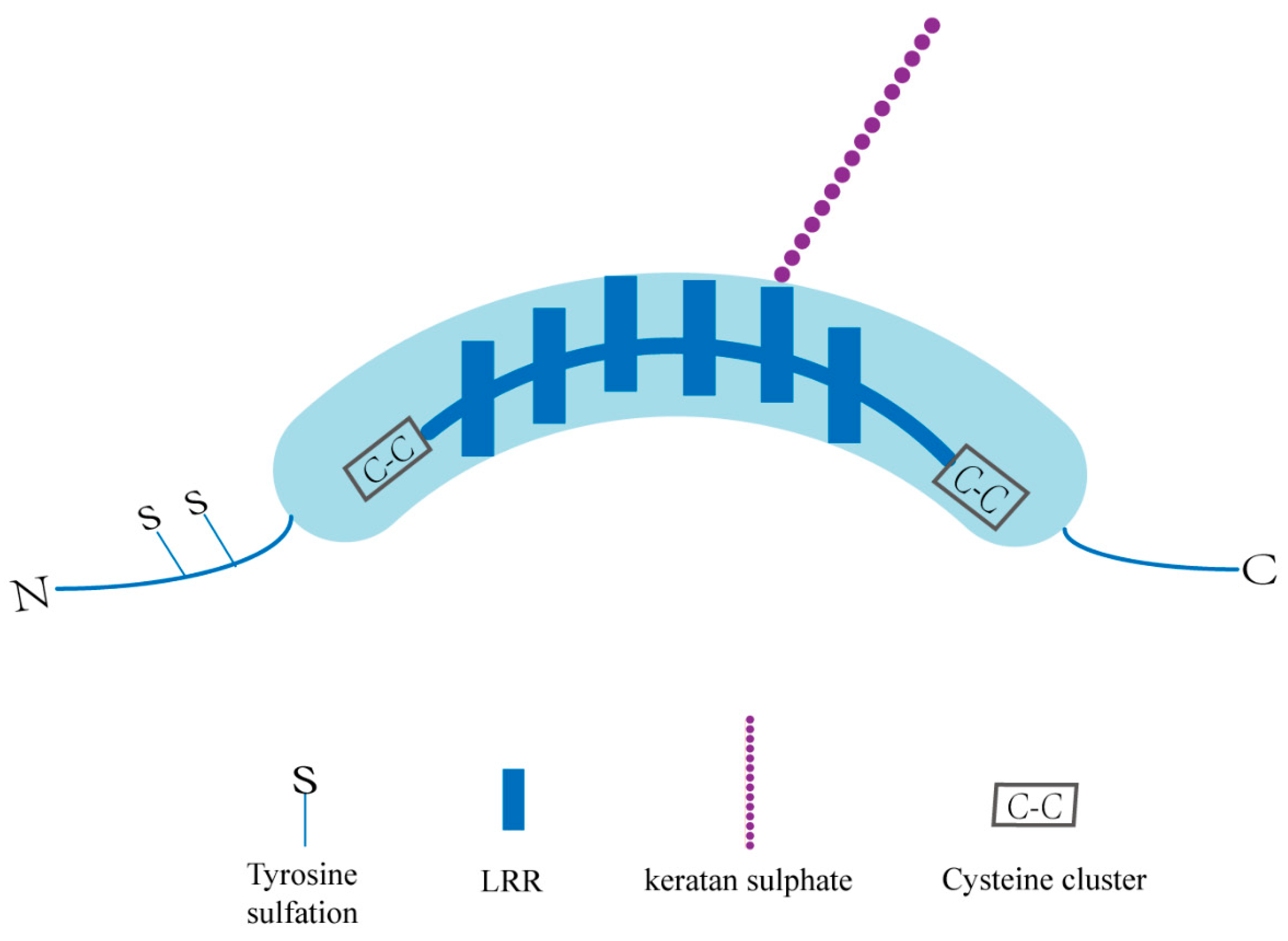 Biomolecules 12 01674 g001 Biomolecules 12 01674 g001