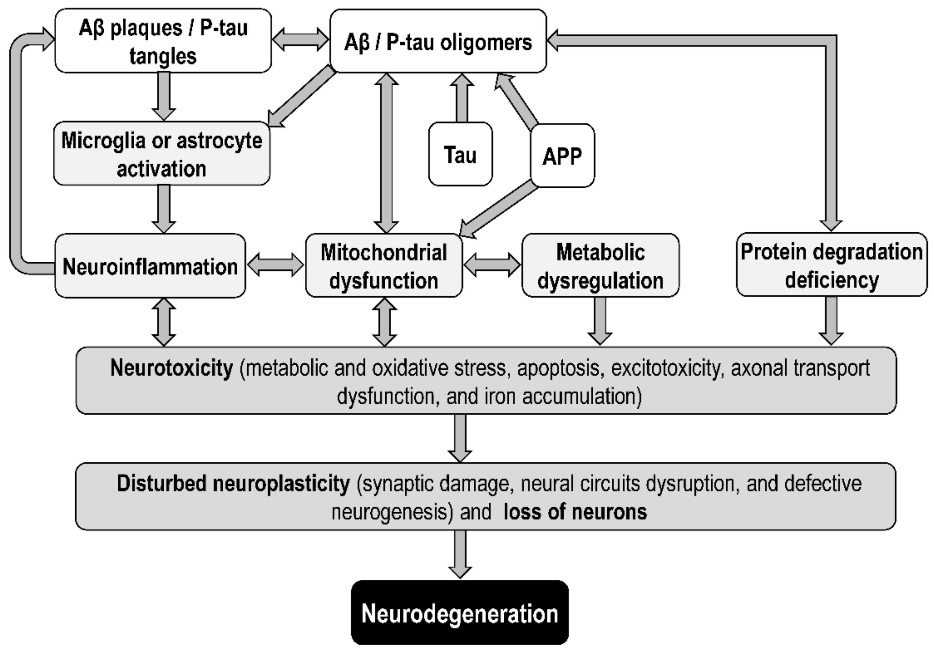 Biomolecules 12 01676 g003