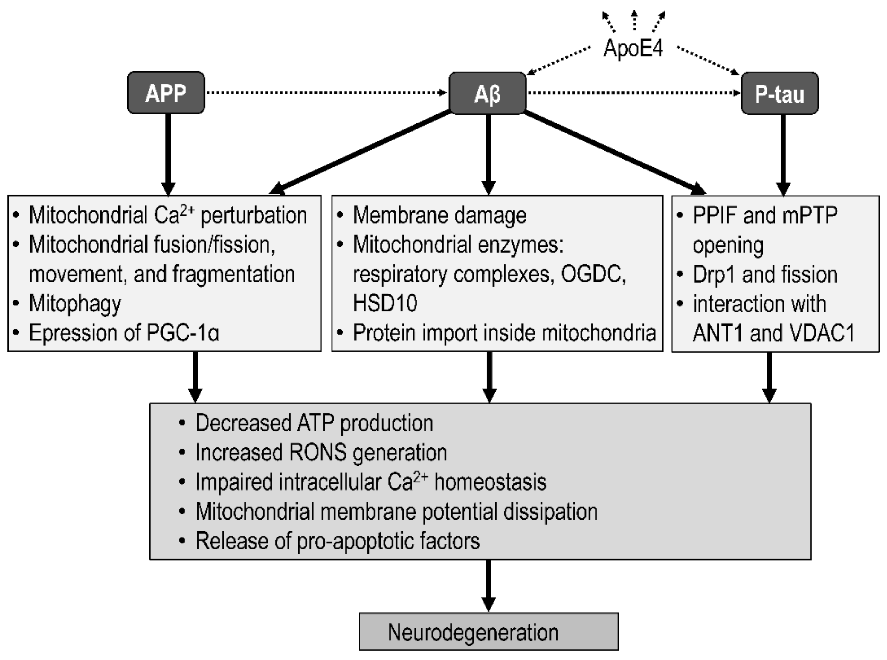 Biomolecules 12 01676 g008