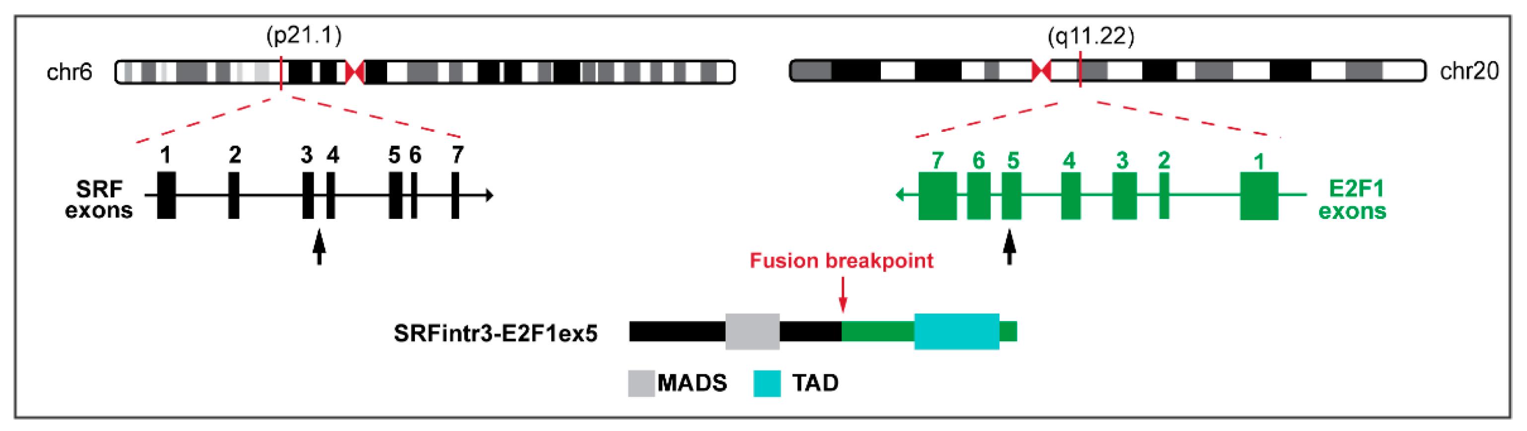 Biomolecules 12 01678 g001 Biomolecules 12 01678 g001