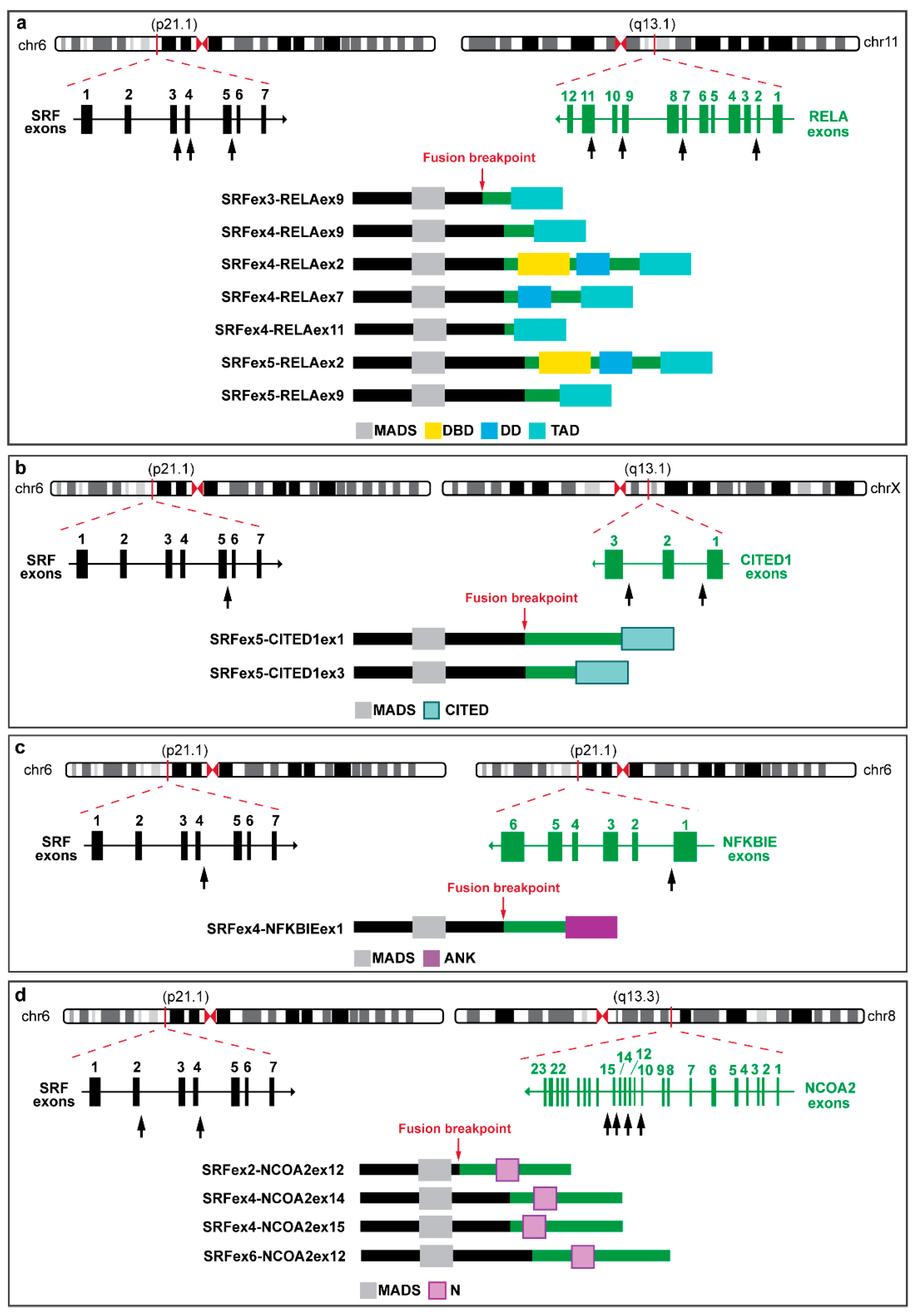 Biomolecules 12 01678 g006 Biomolecules 12 01678 g006