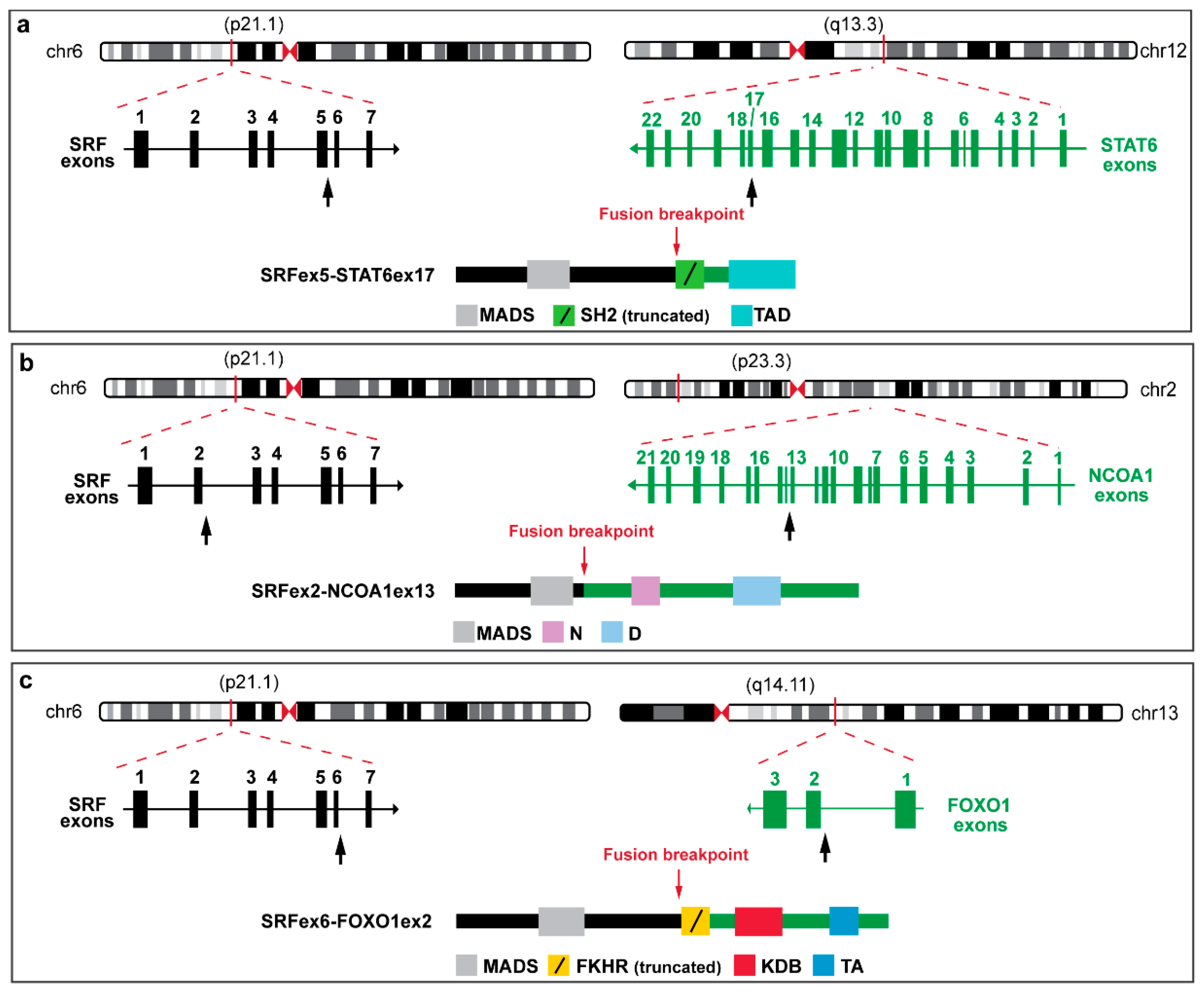 Biomolecules 12 01678 g007 Biomolecules 12 01678 g007
