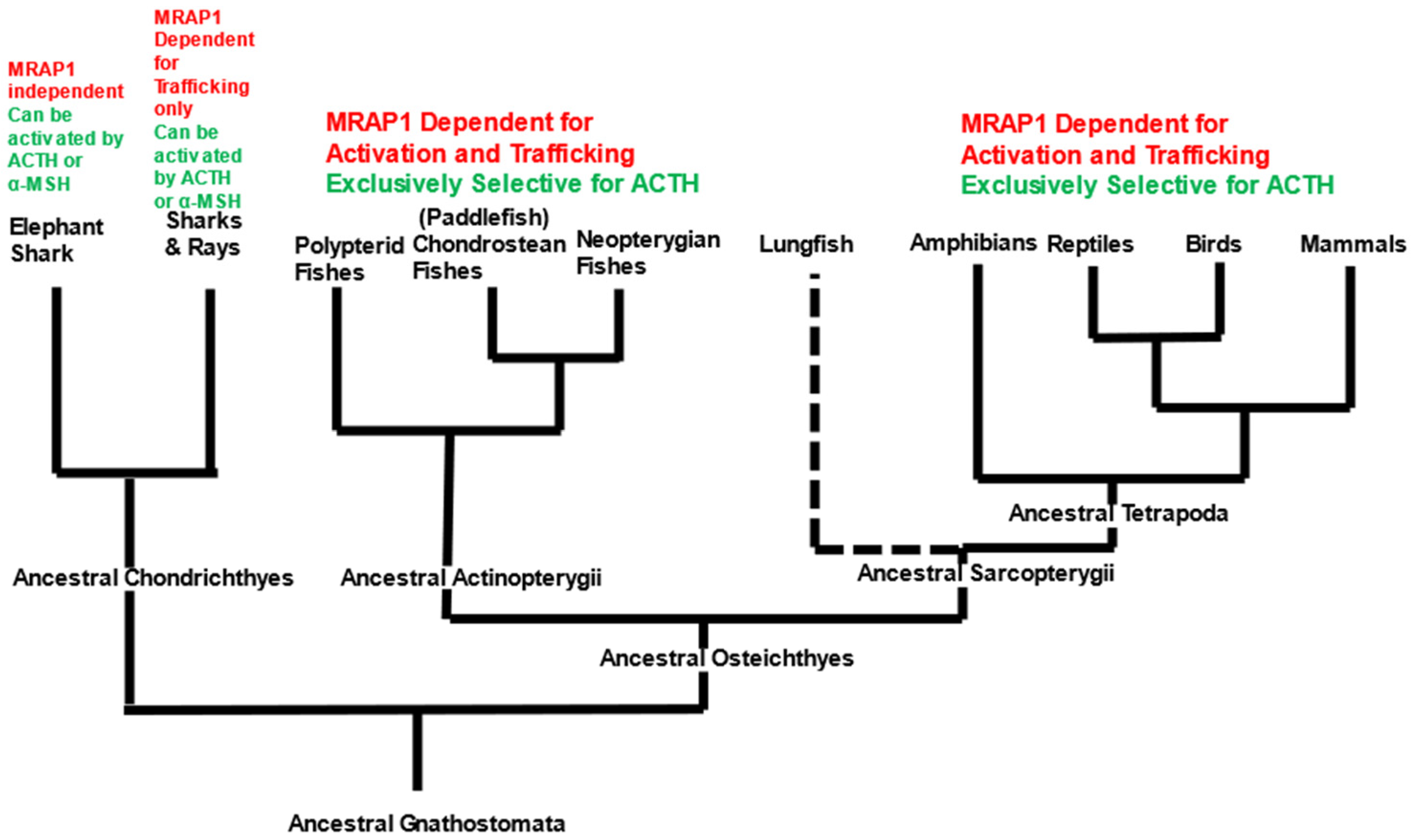 Biomolecules 12 01681 g005