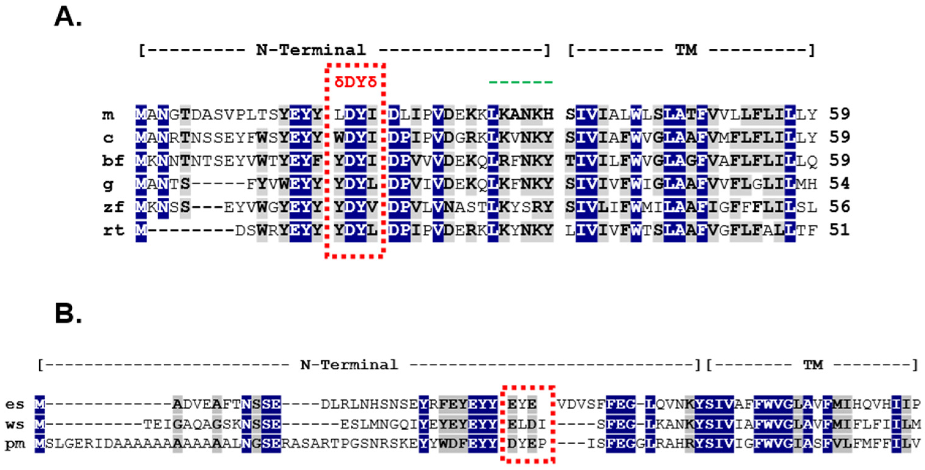 Biomolecules 12 01681 g006