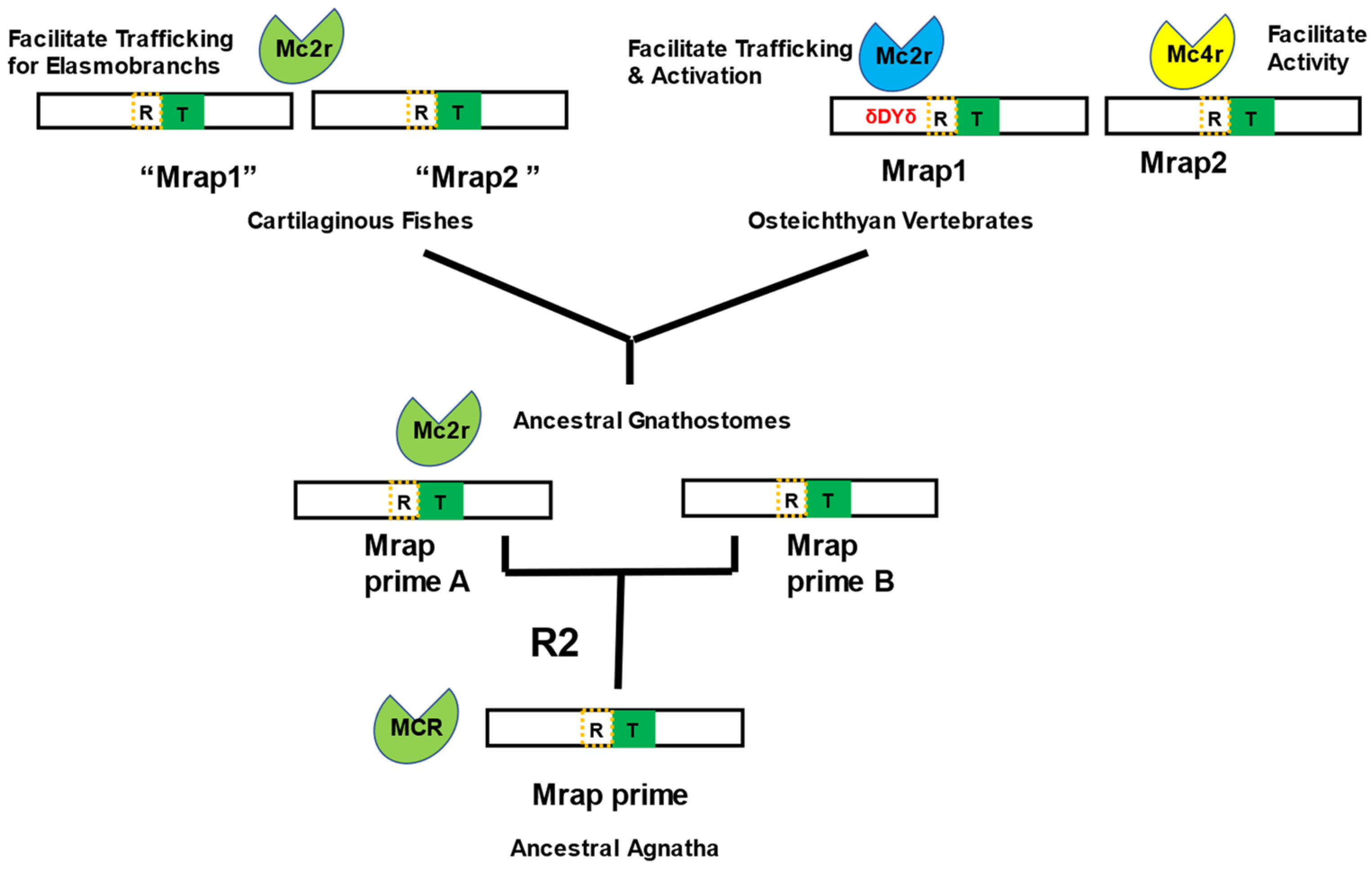 Biomolecules 12 01681 g007