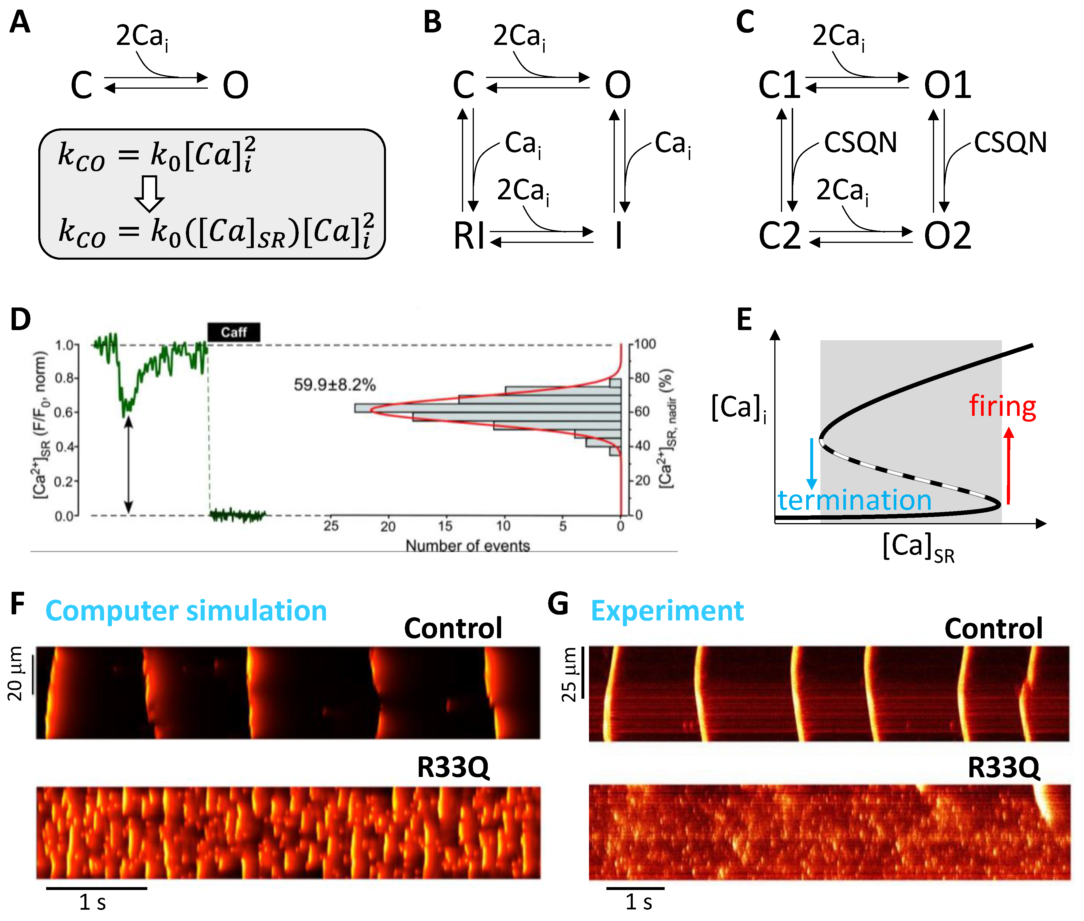 Biomolecules 12 01686 g002