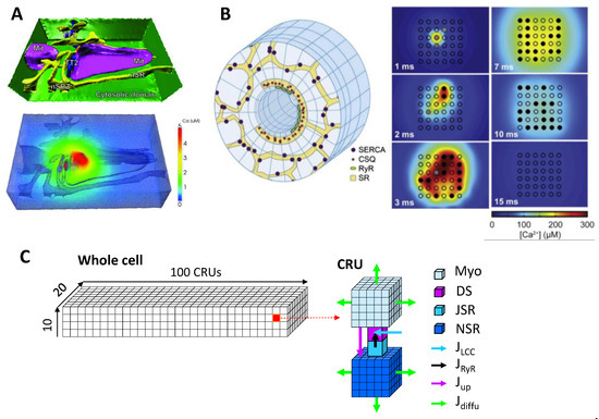 Biomolecules 12 01686 g003