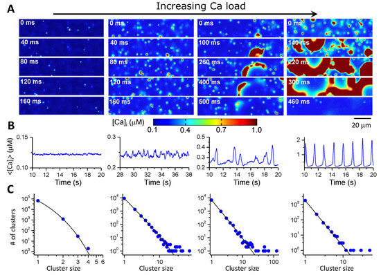 Biomolecules 12 01686 g004