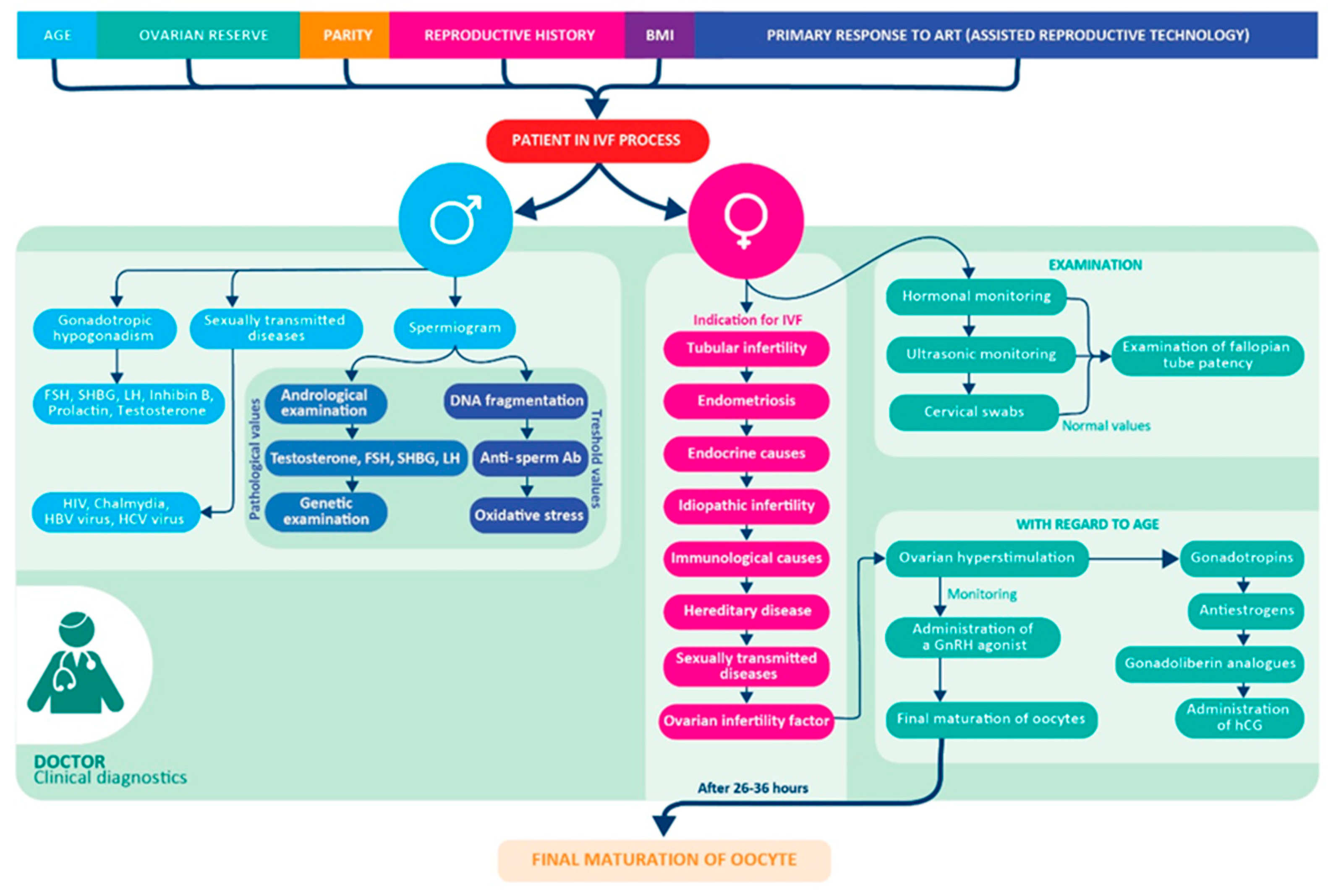 Biomolecules 12 01687 g001 Biomolecules 12 01687 g001