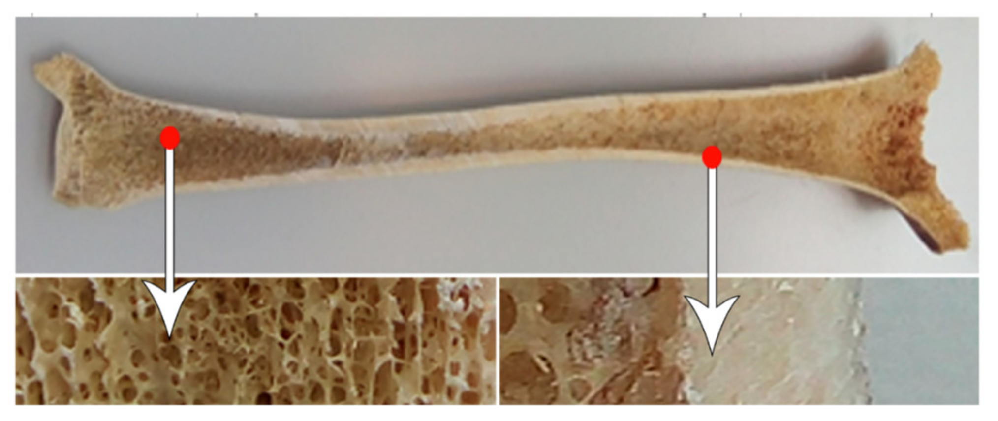 Biomolecules 12 01692 g002