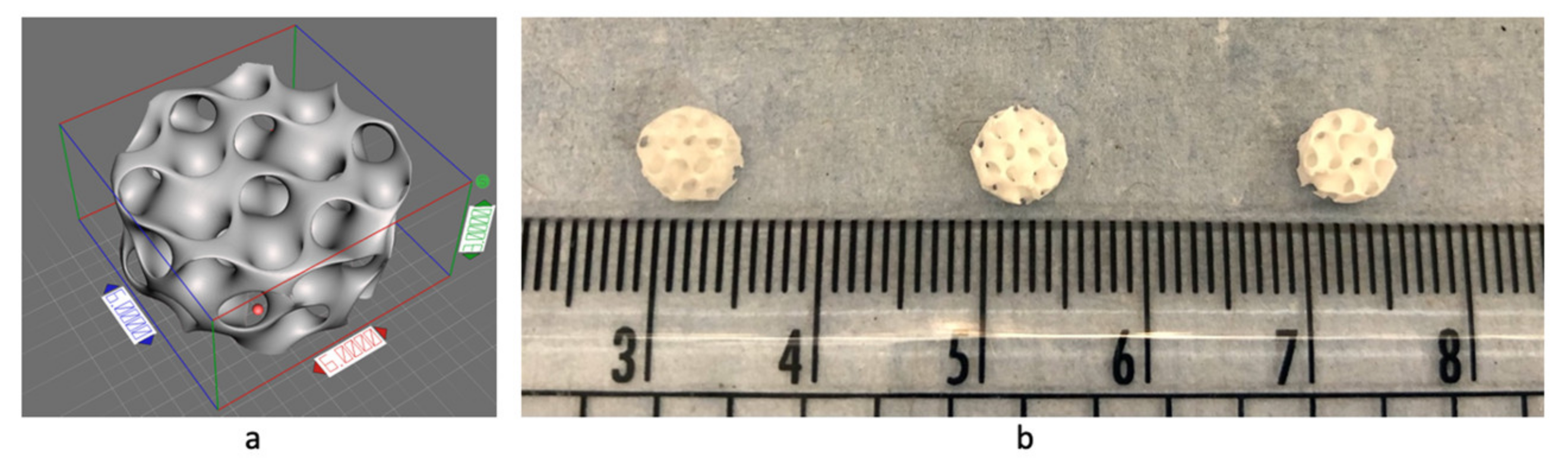 Biomolecules 12 01692 g007