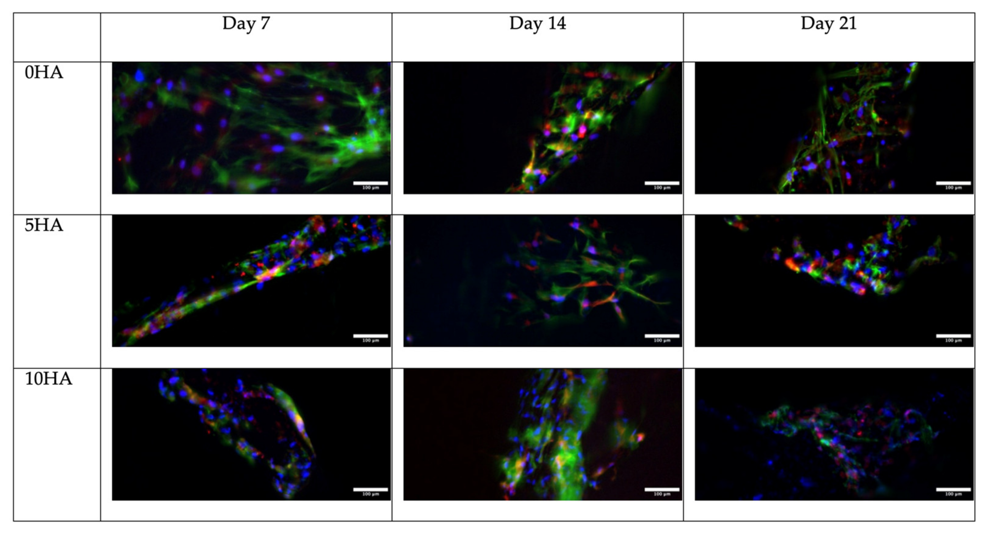 Biomolecules 12 01692 g014