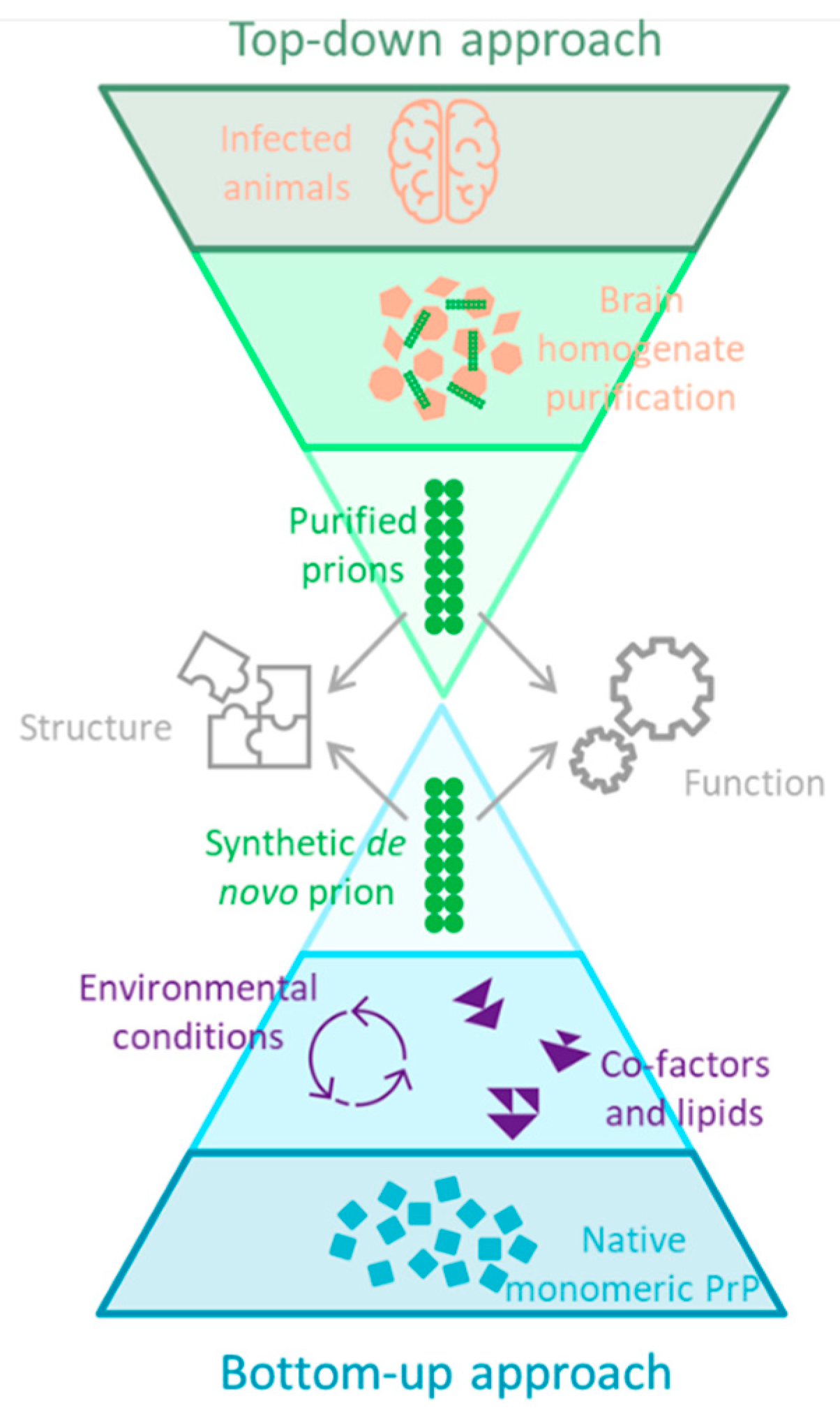 Biomolecules 12 01694 g001