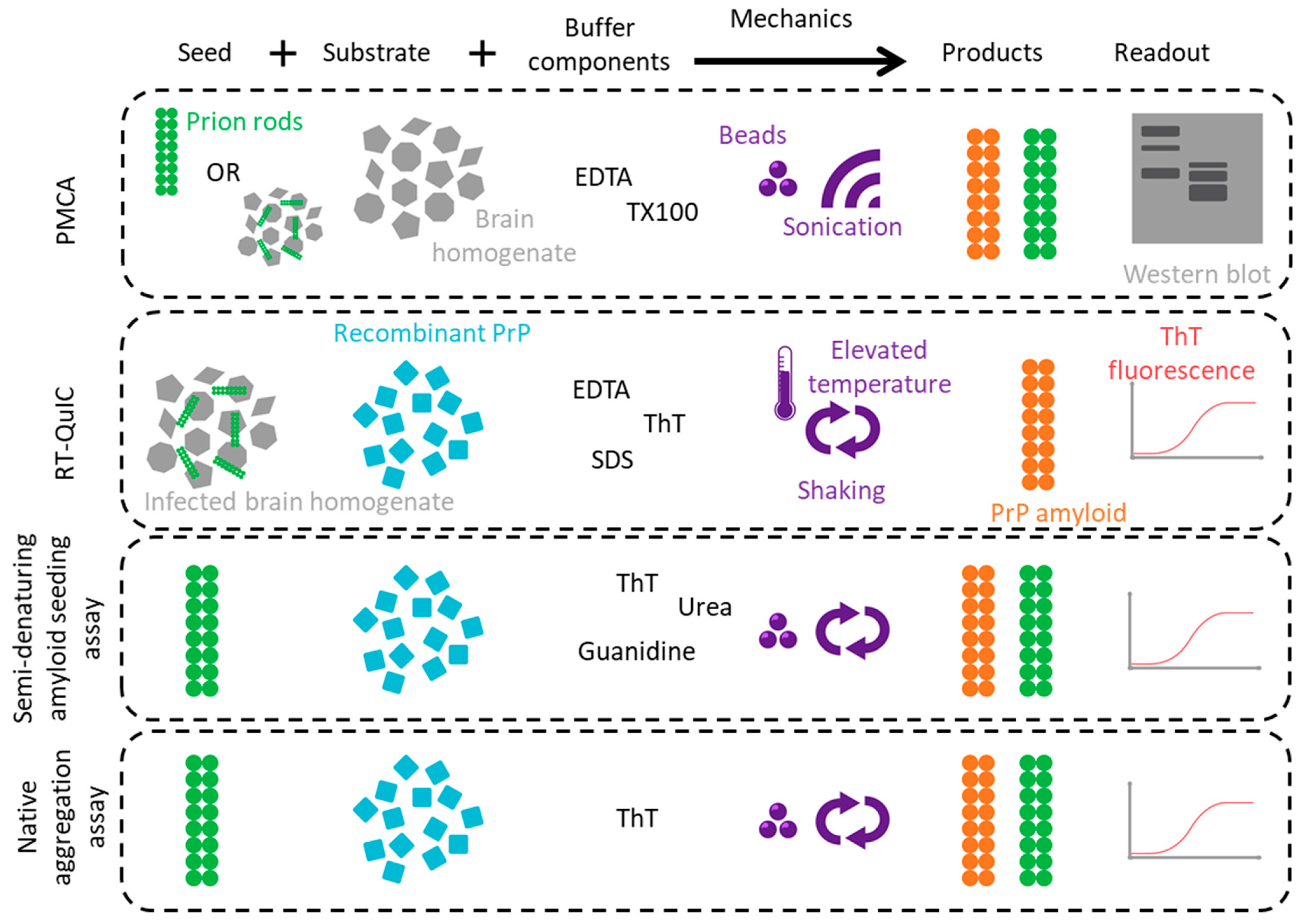 Biomolecules 12 01694 g003