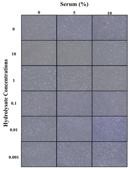 Biomolecules 12 01697 g005