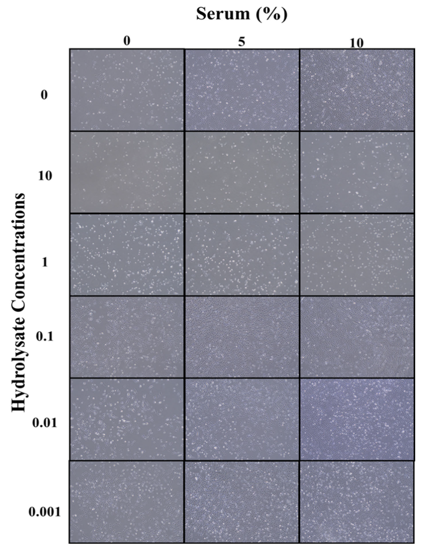Biomolecules 12 01697 g005