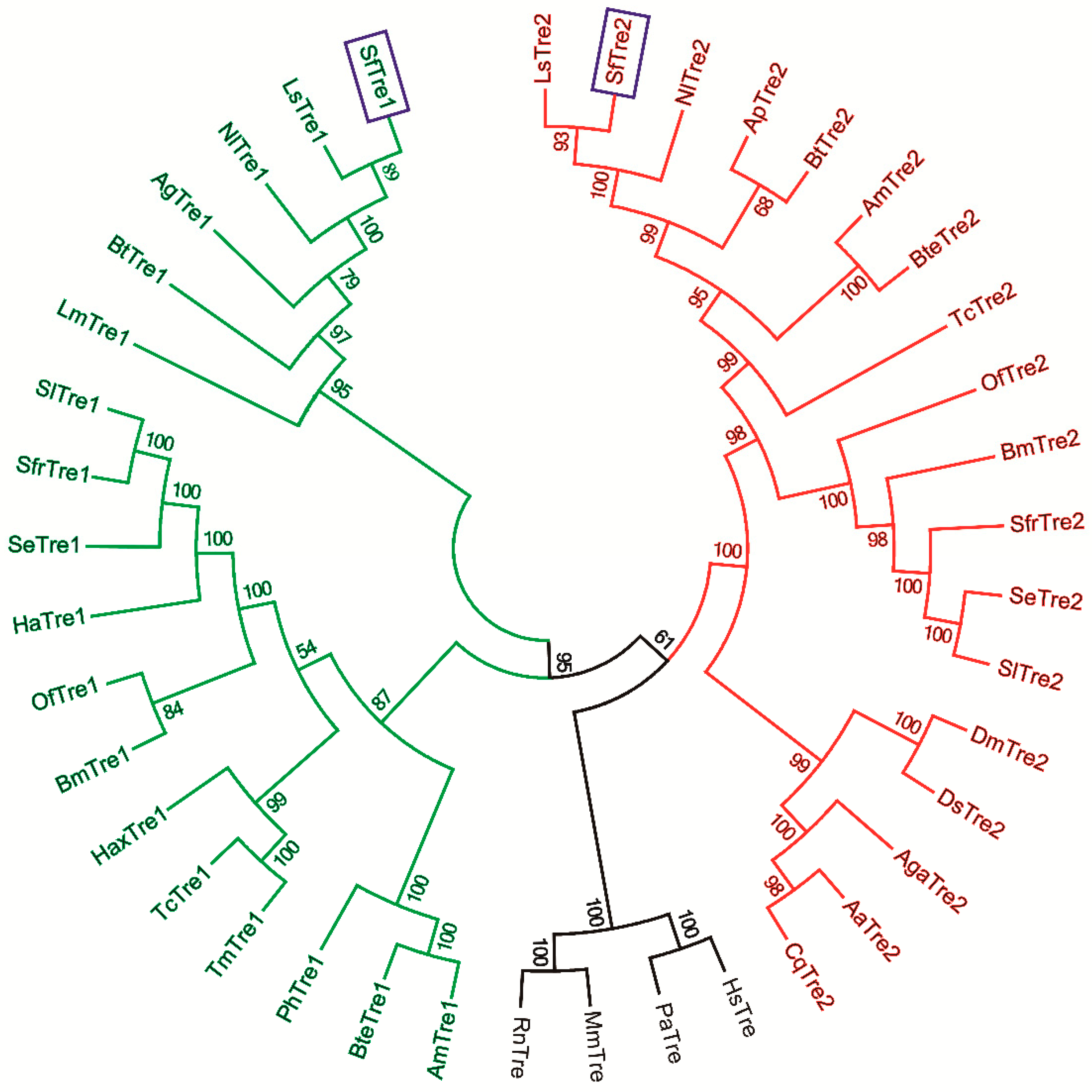 Biomolecules 12 01699 g003
