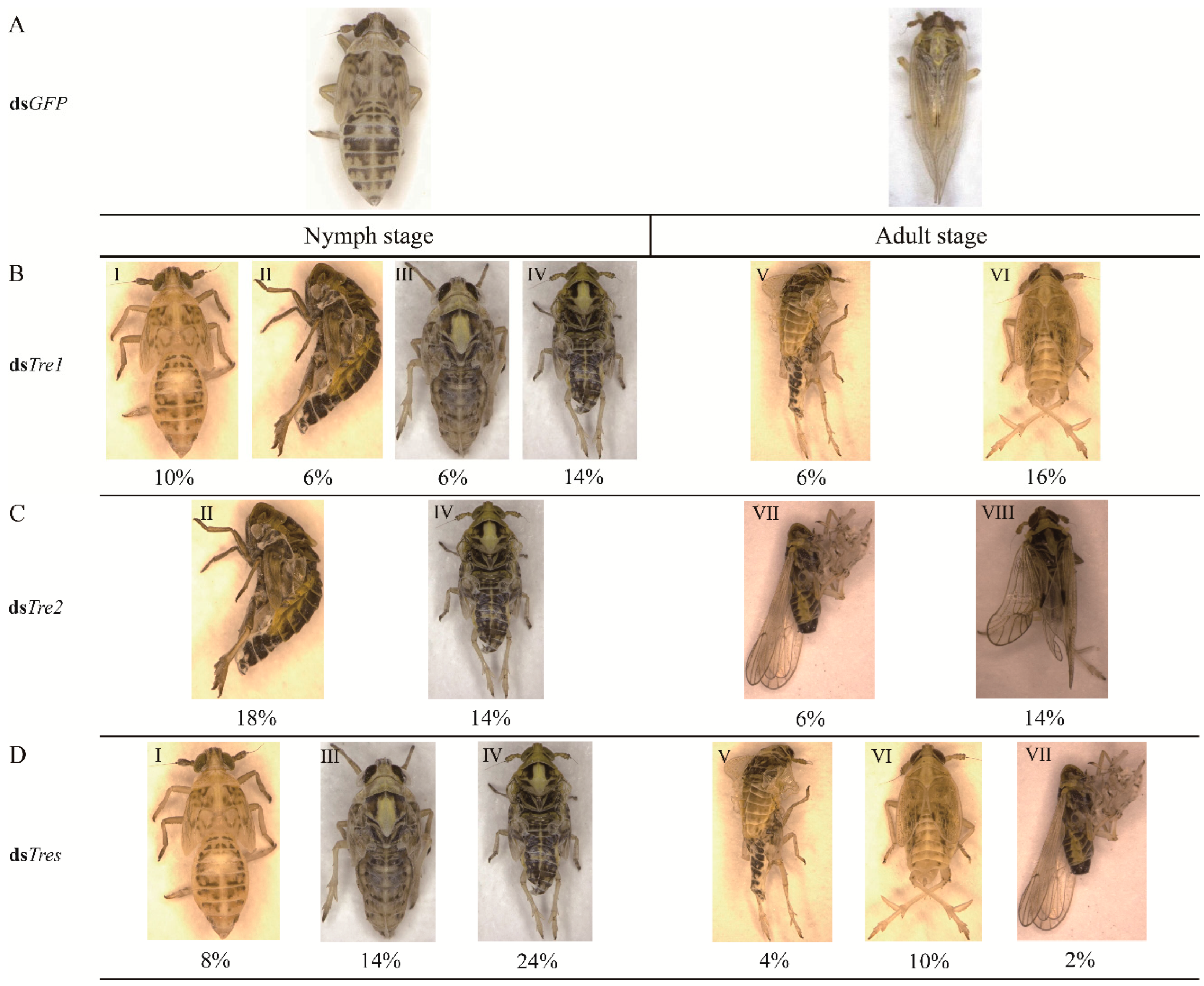 Biomolecules 12 01699 g008