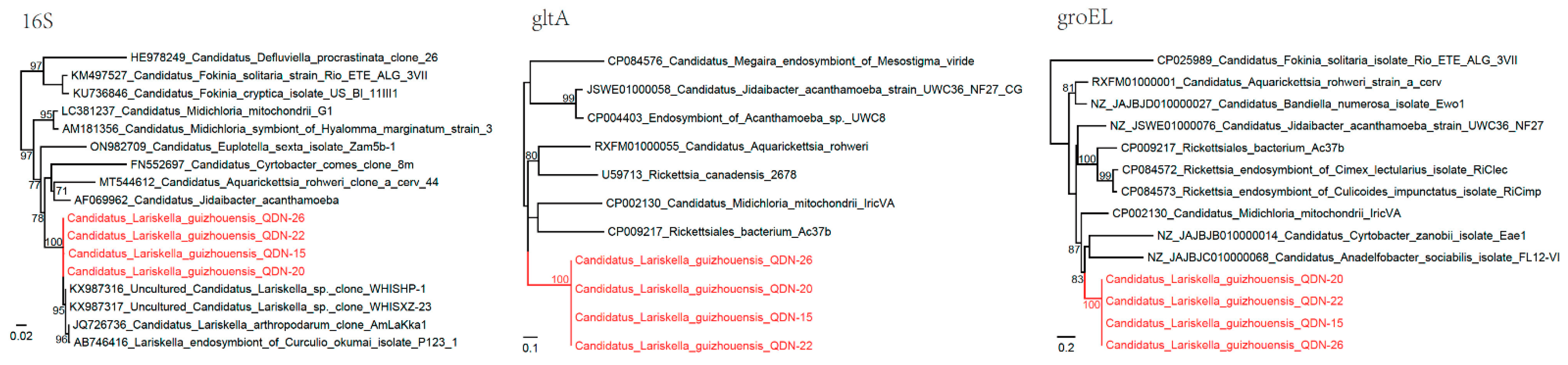 Biomolecules 12 01701 g003