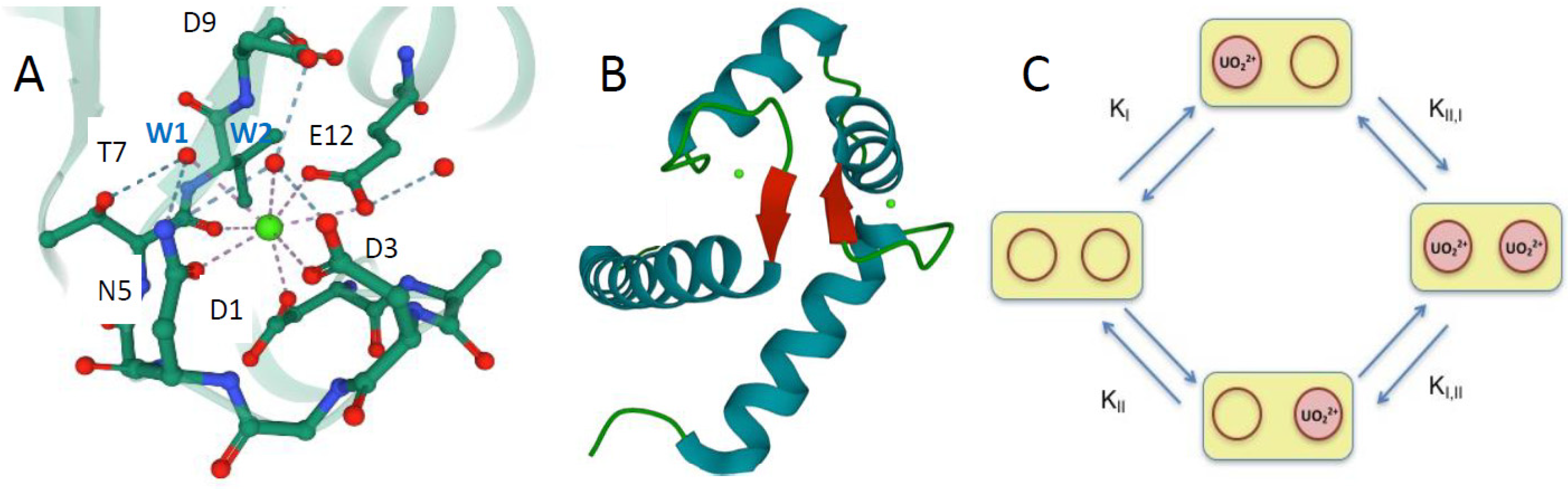 Biomolecules 12 01703 g001