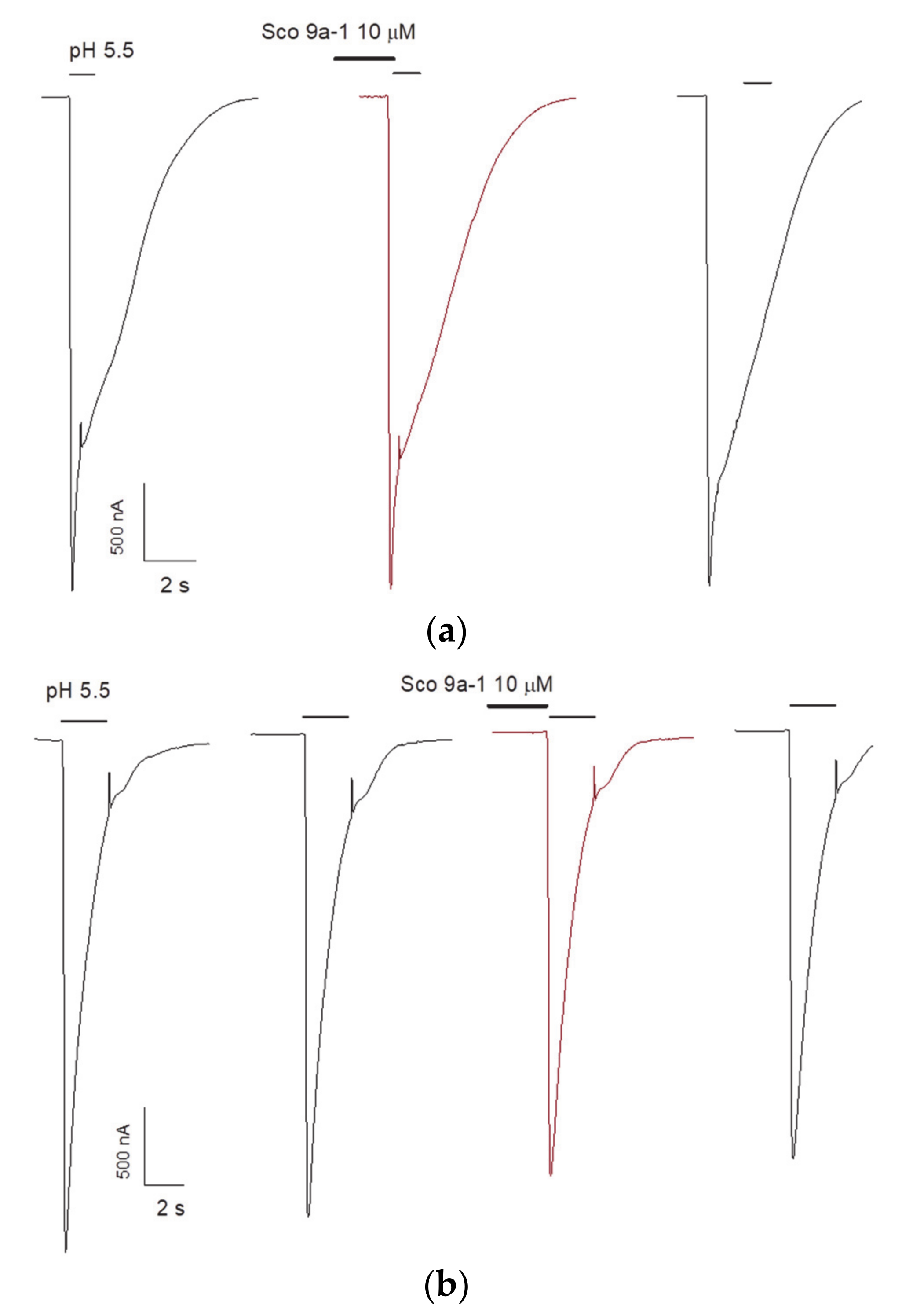 Biomolecules 12 01705 g008
