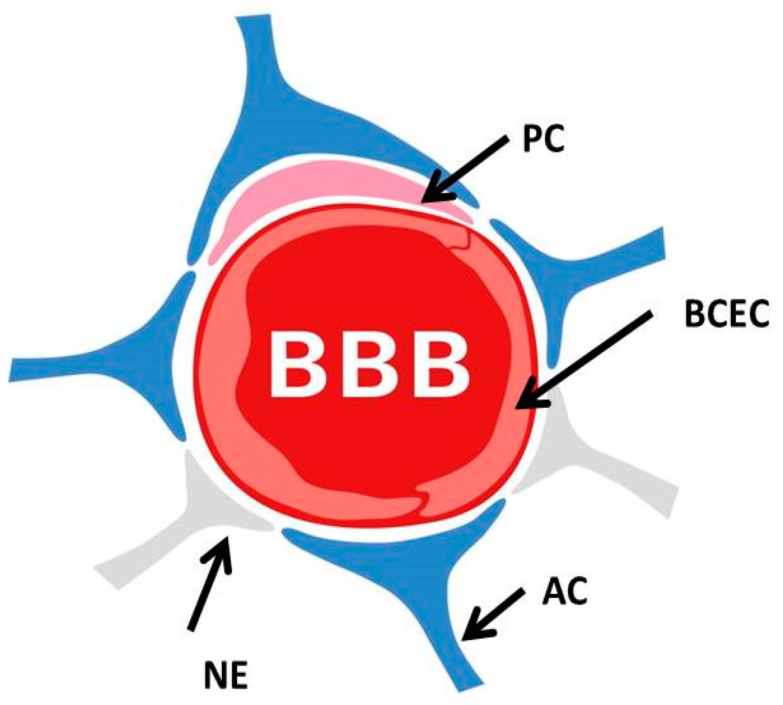 Biomolecules 12 01717 g001