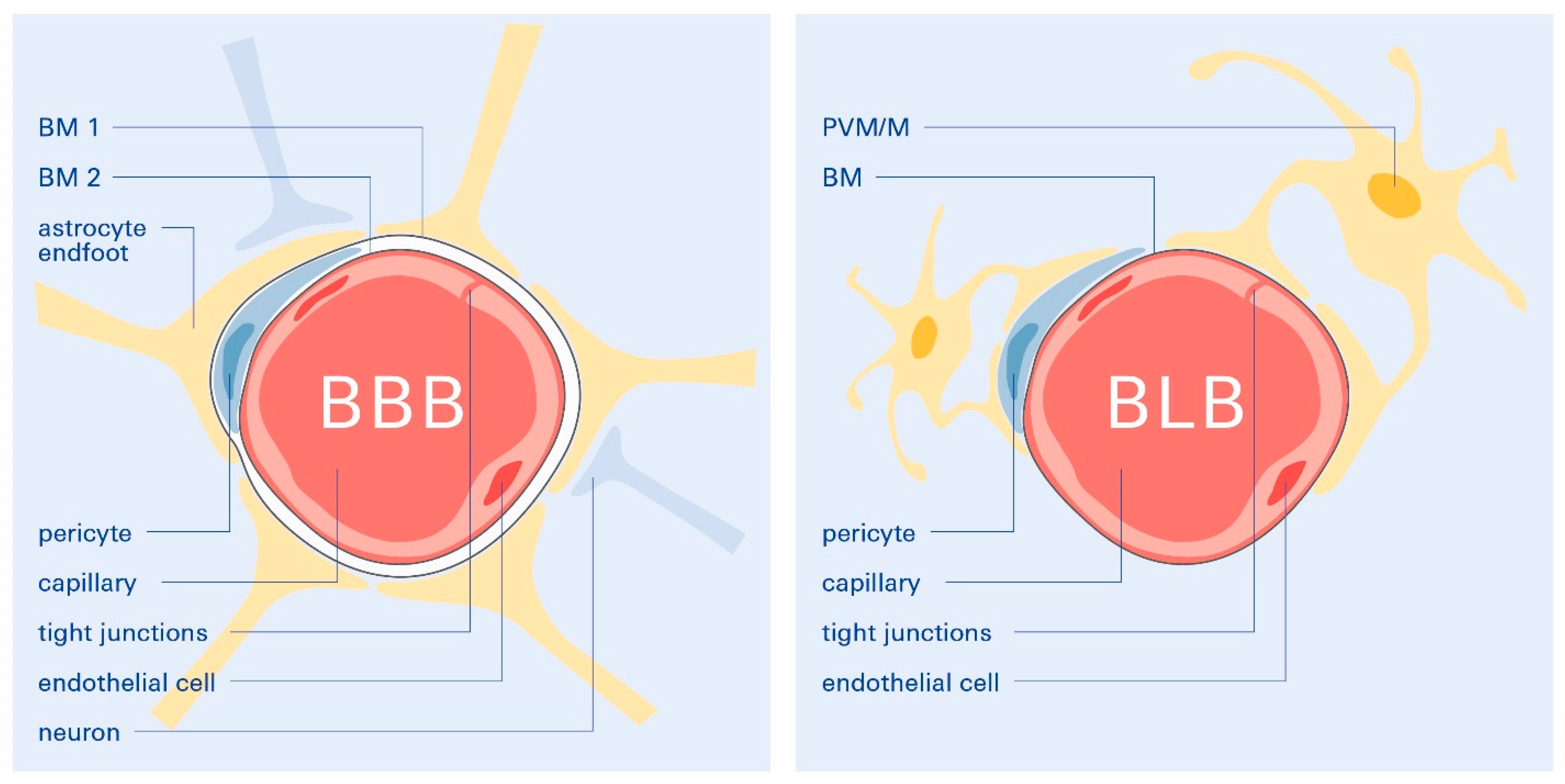 Biomolecules 12 01717 g002