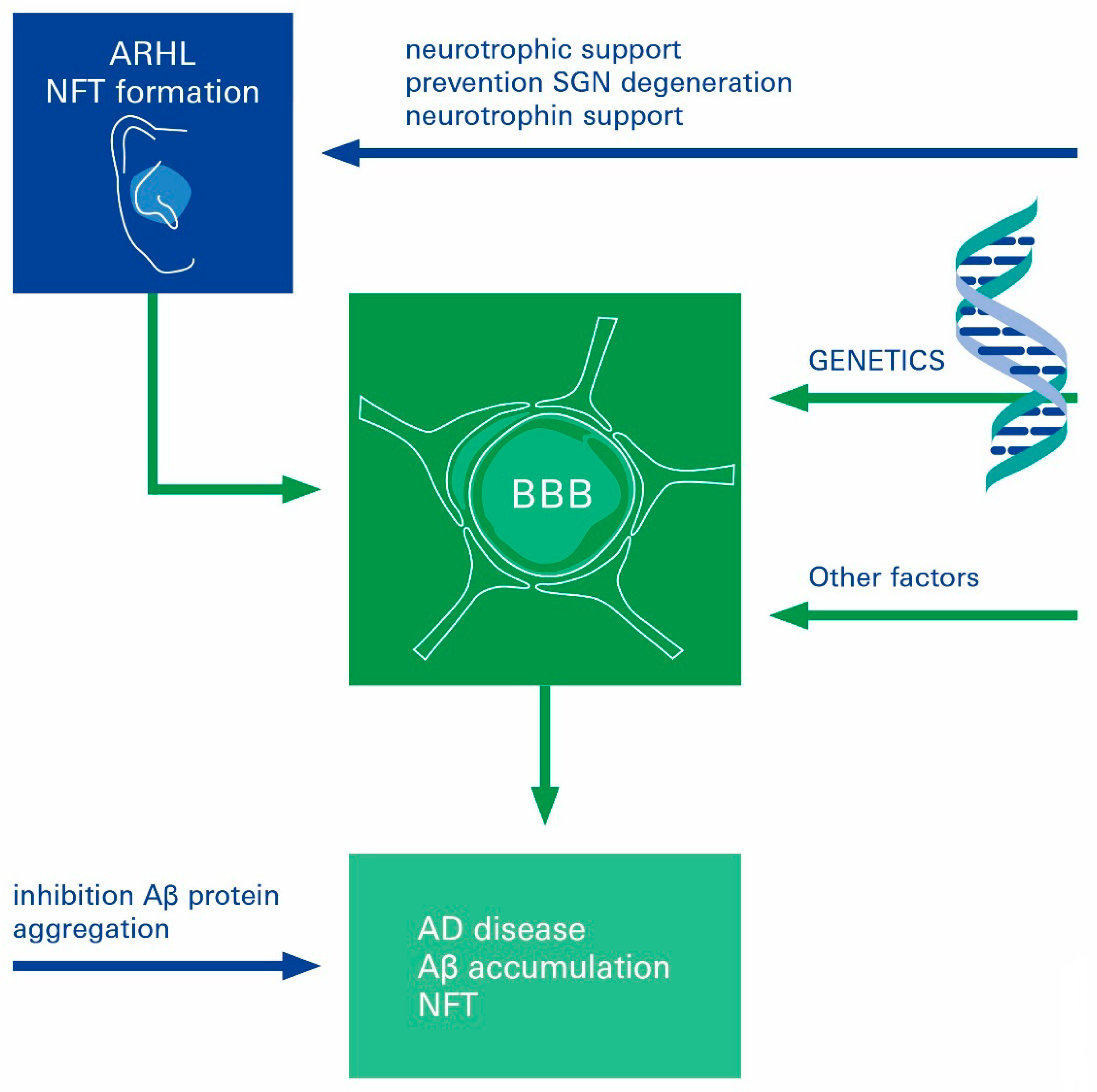 Biomolecules 12 01717 g005