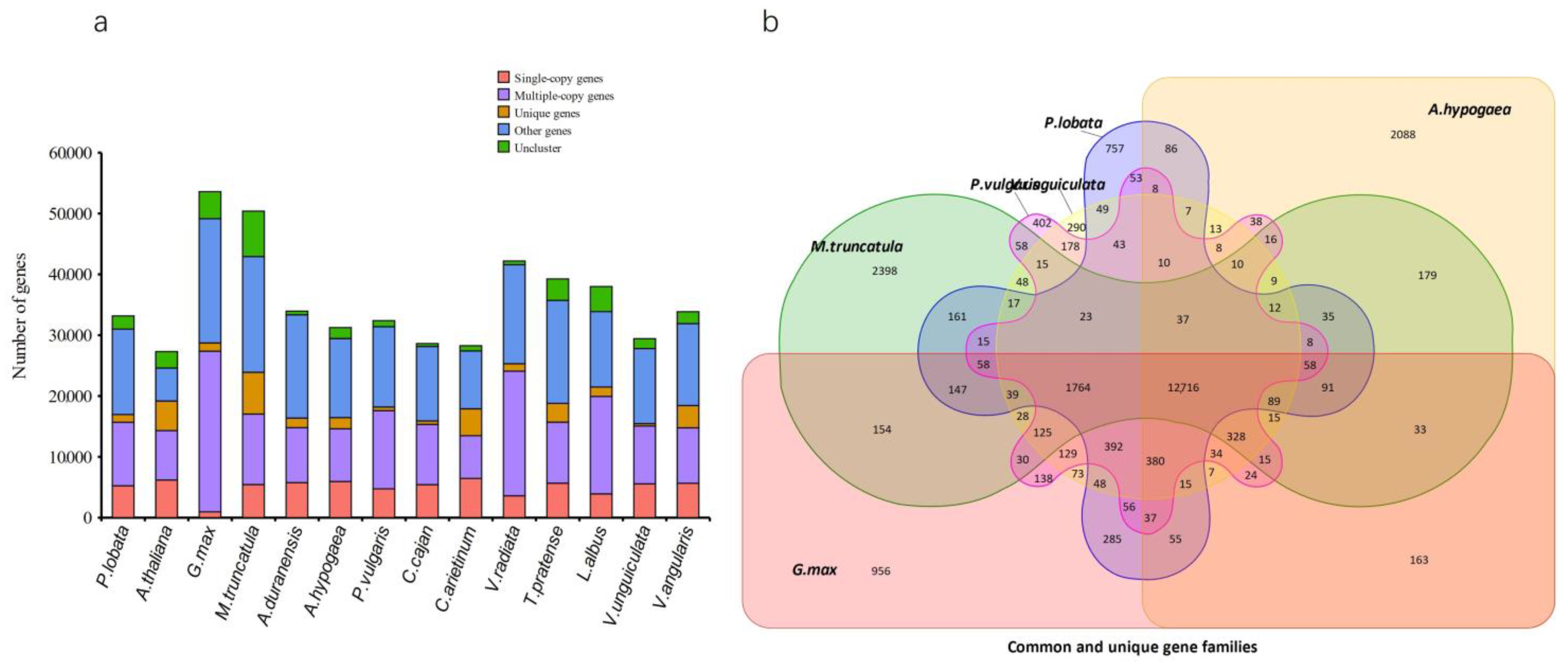 Biomolecules 12 01731 g004