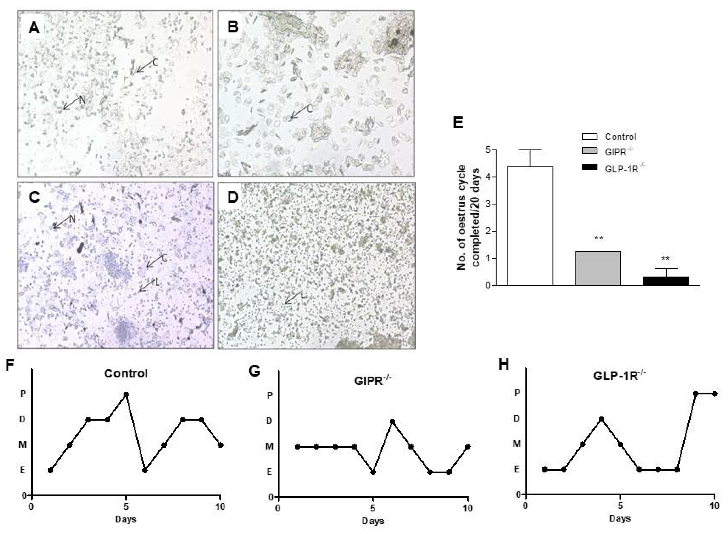Biomolecules 12 01736 g003